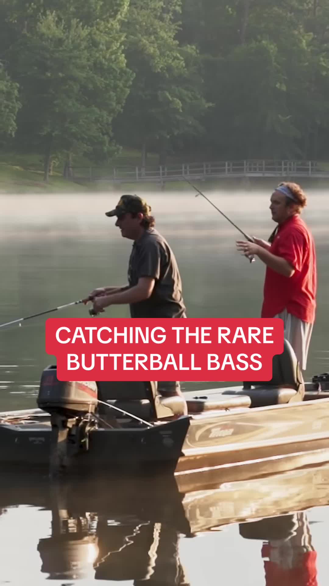 @Lunkerville
