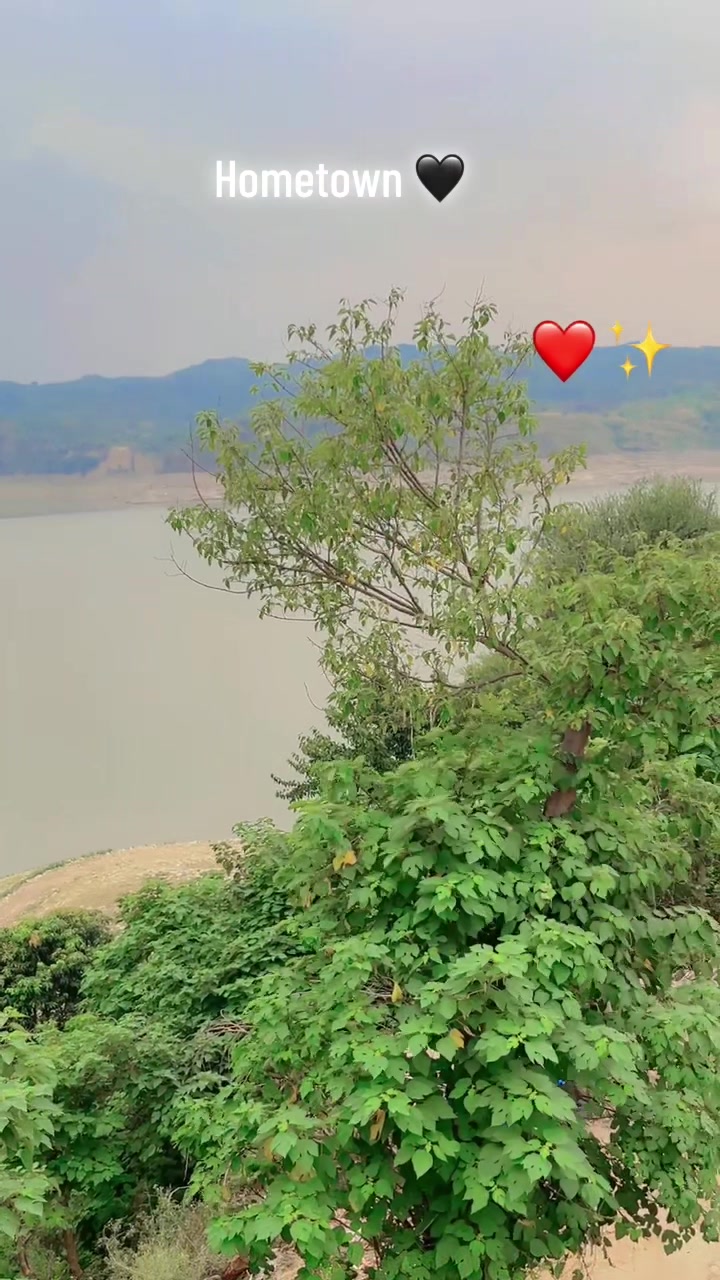 @✿༺ 𝑀𝒾𝓃𝑒 𝐻 ༻✿