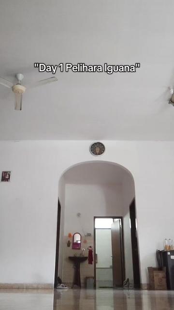 @gobi.and.eli