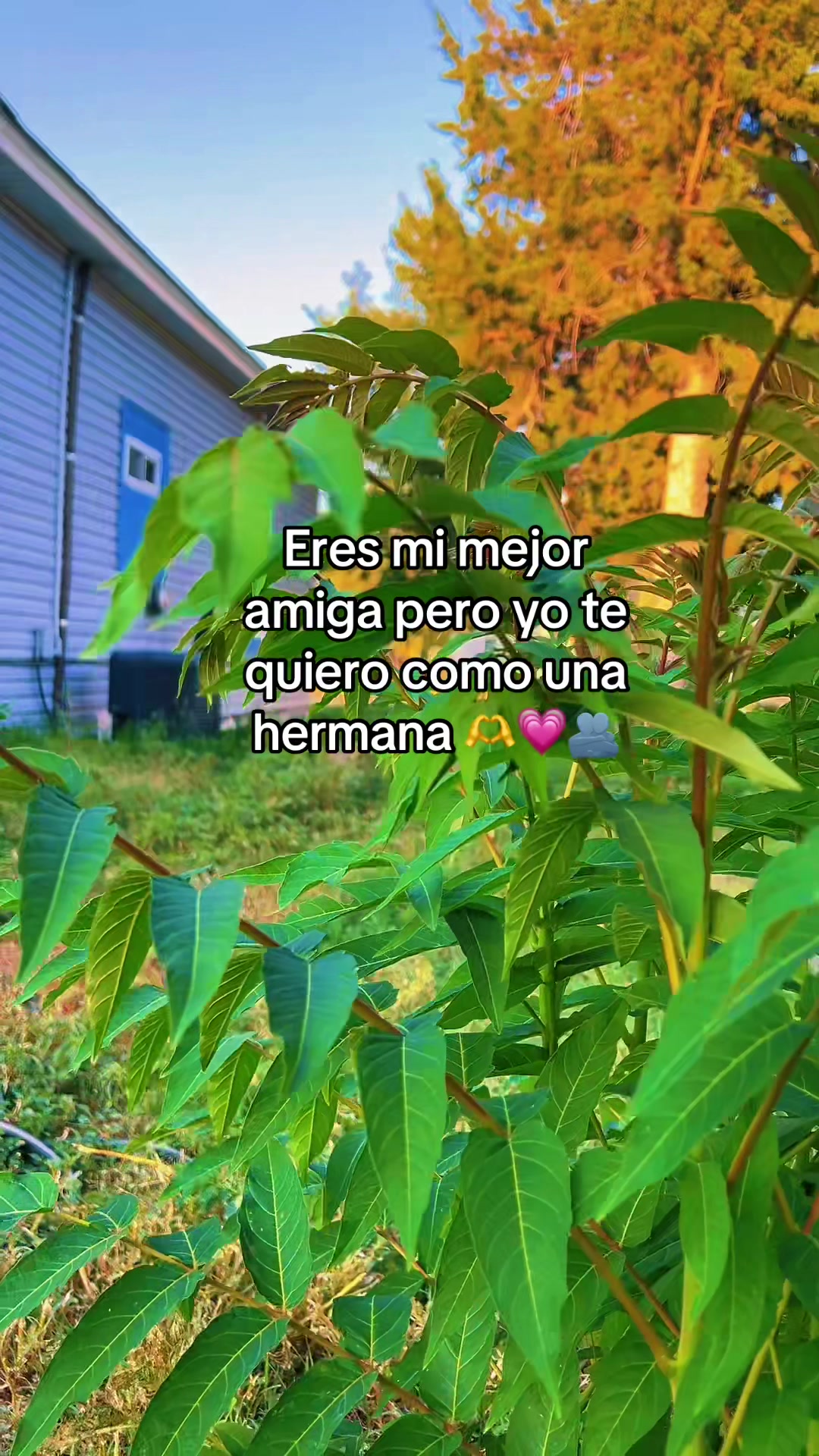 @kanil370 🧃