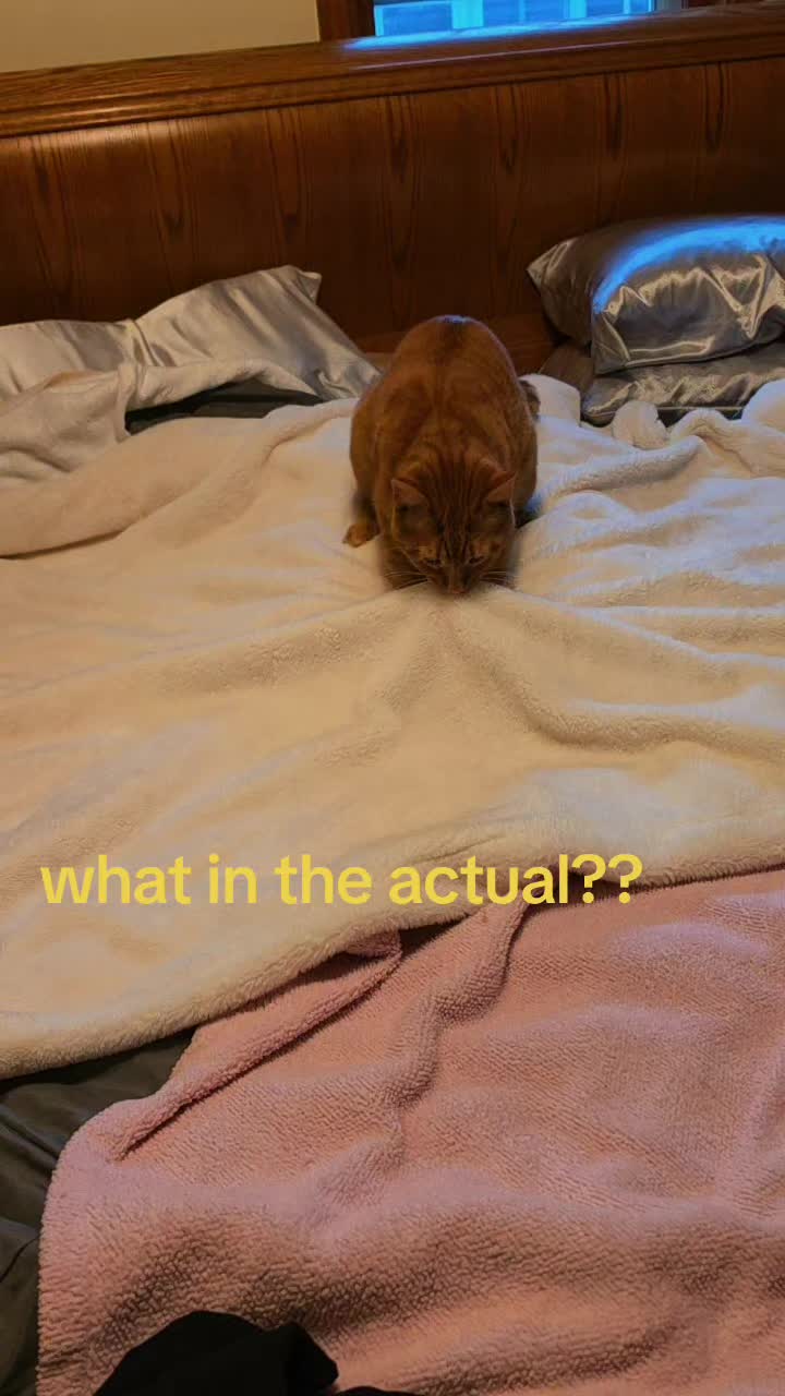 @FoxyRoxyLovesYou