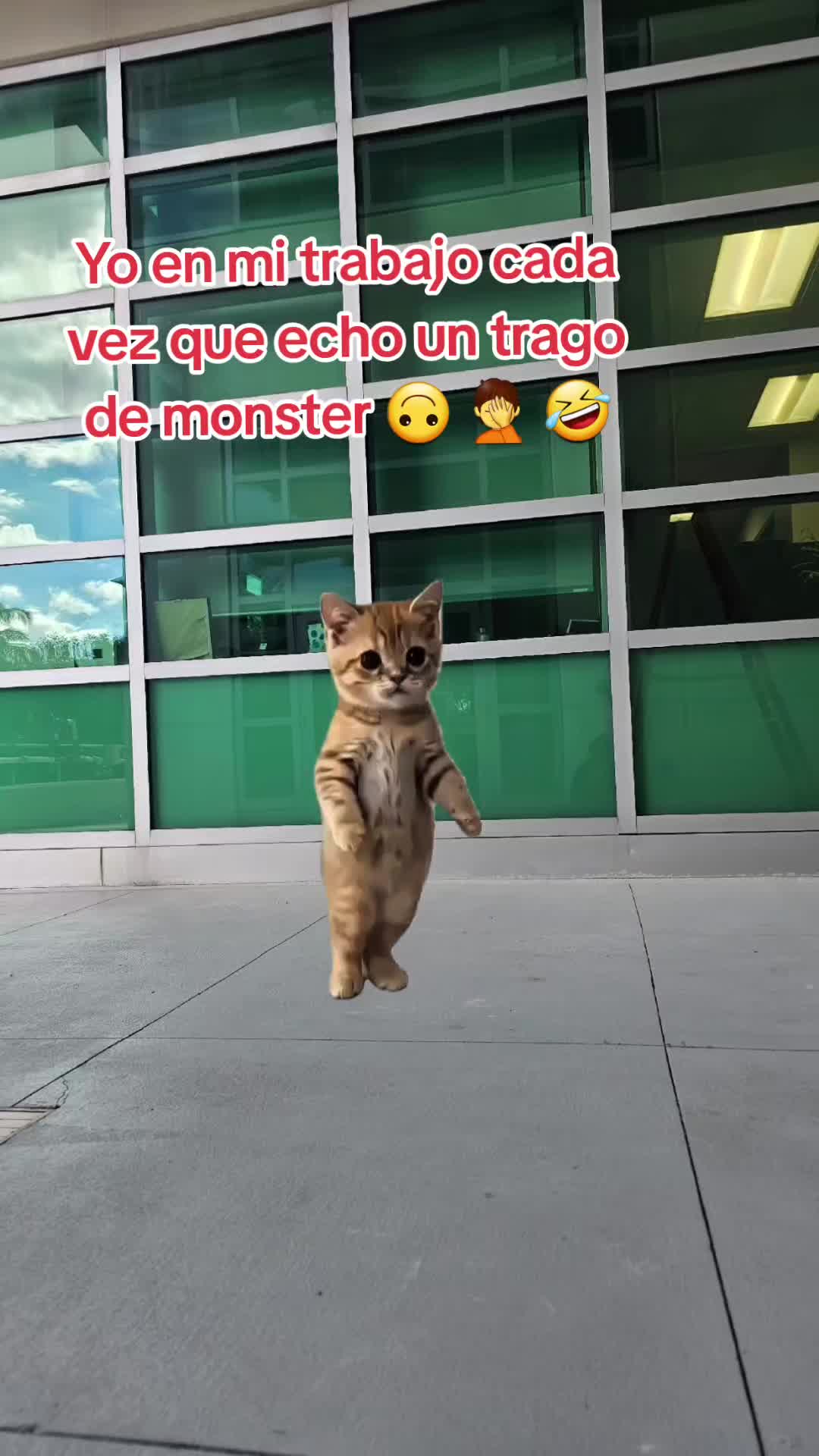 @Gabrielito 502