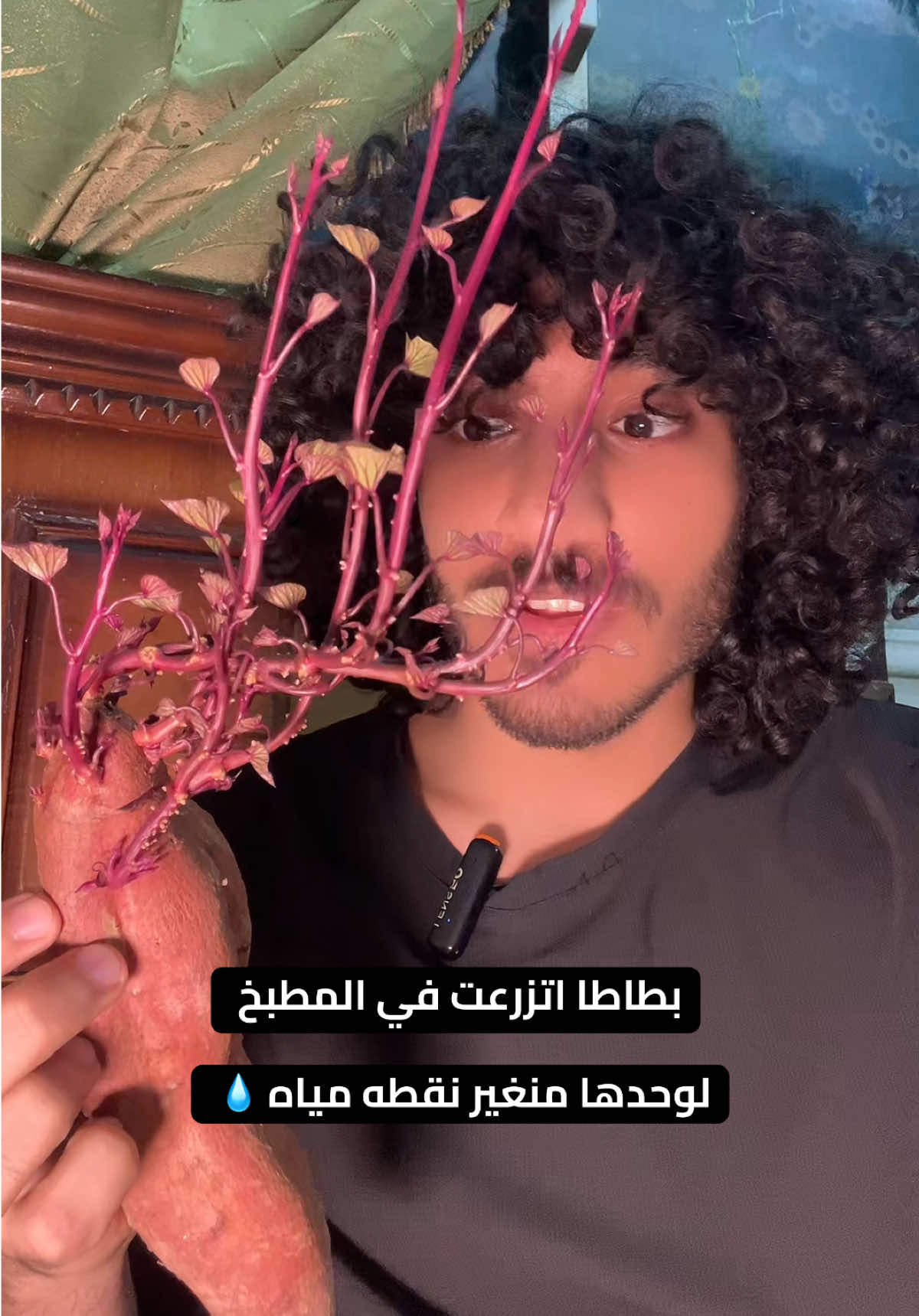 @عمو جوو - Youssef khaled