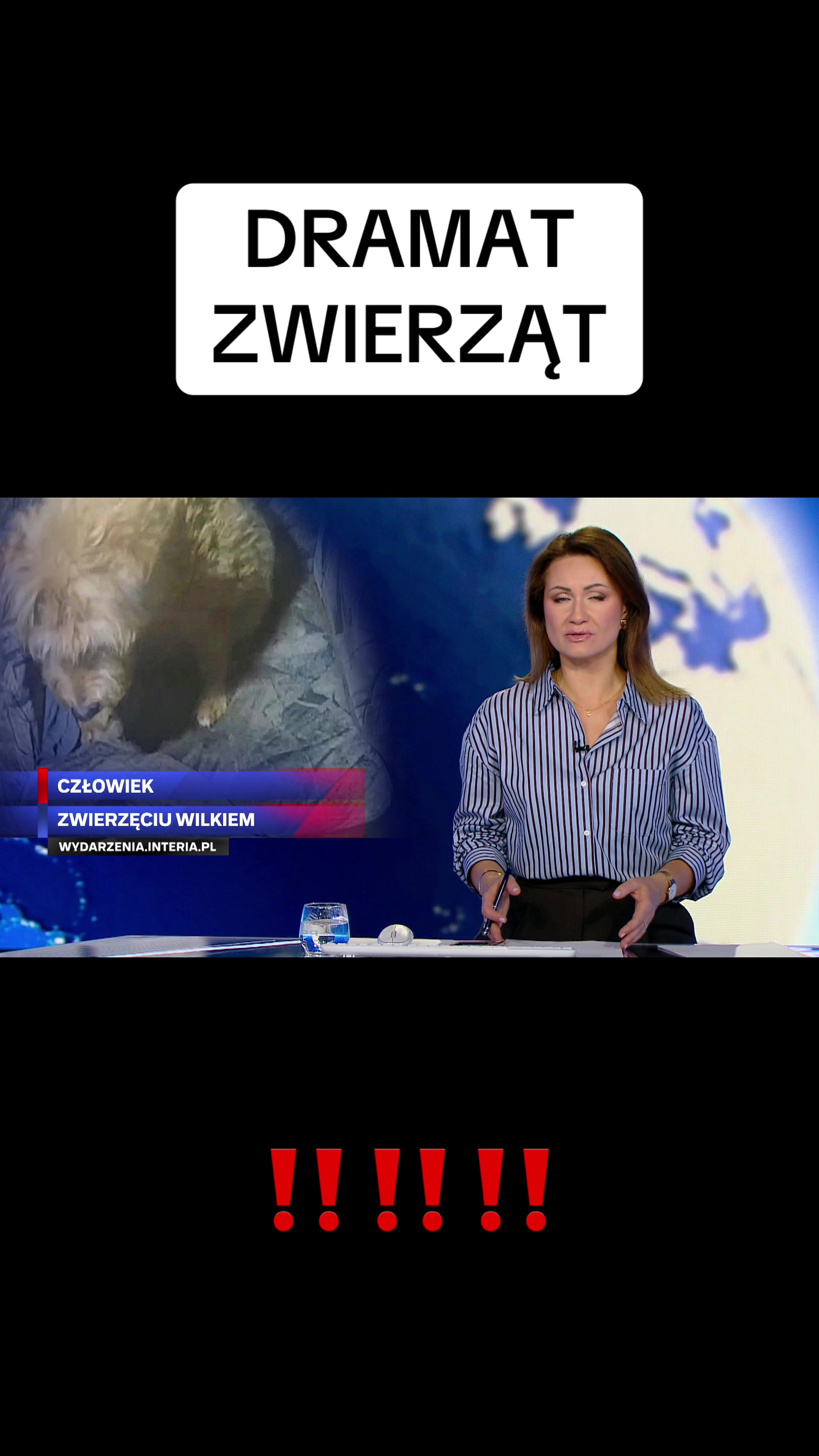 @Wydarzenia 24