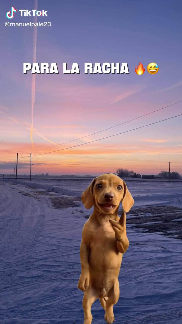 @⚖️Un⚖️le&oacute;n ⚖️