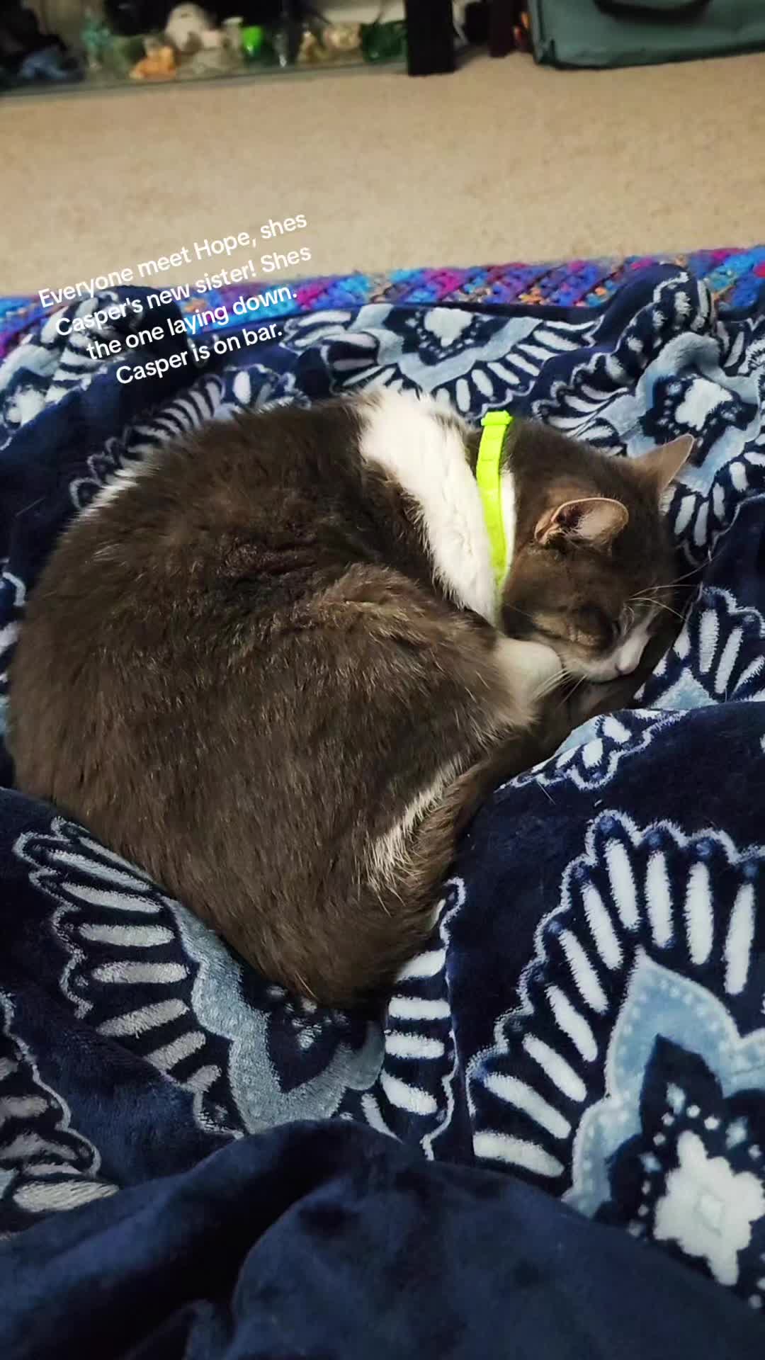 @LoveBug97