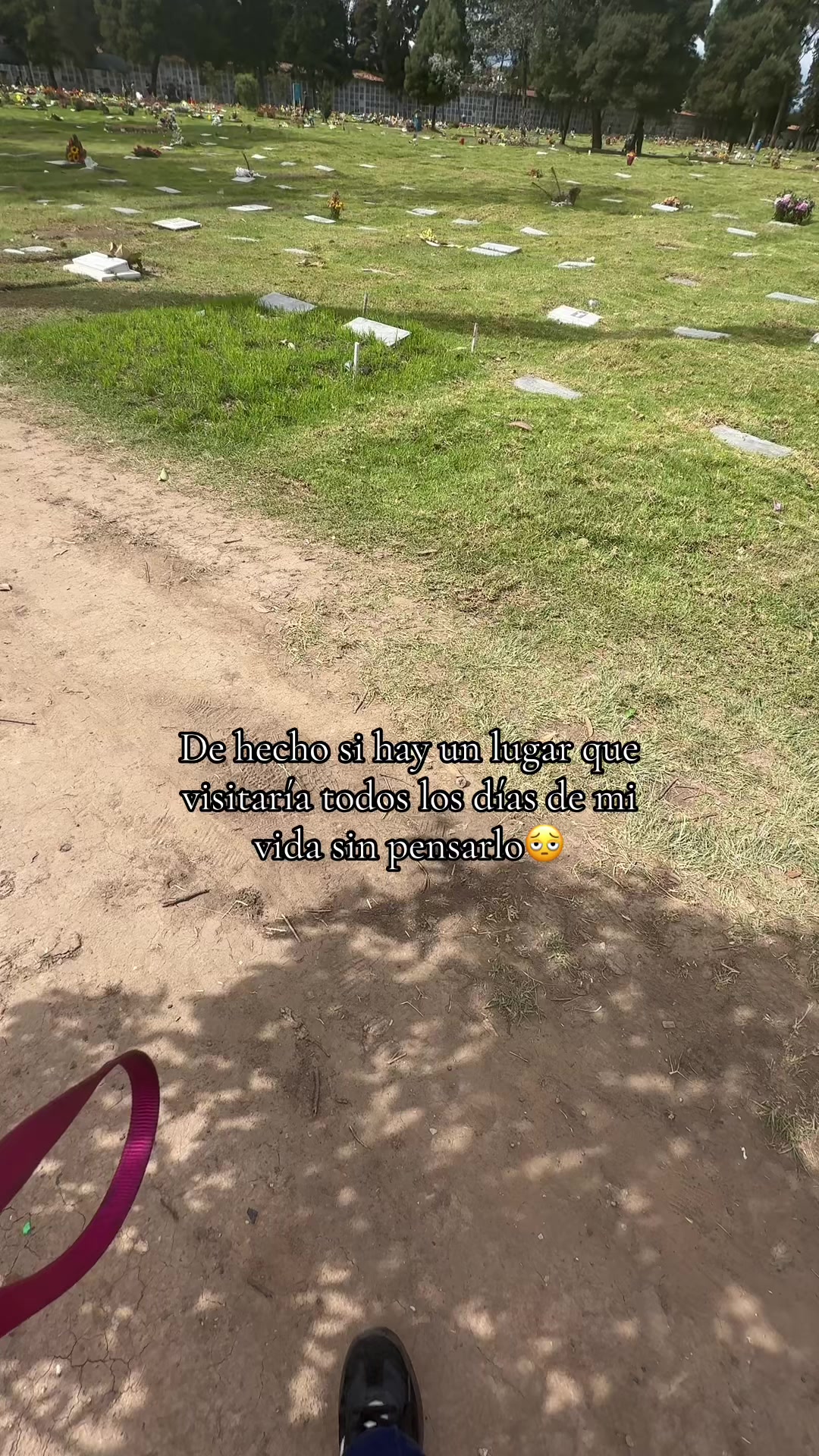 @Luu.