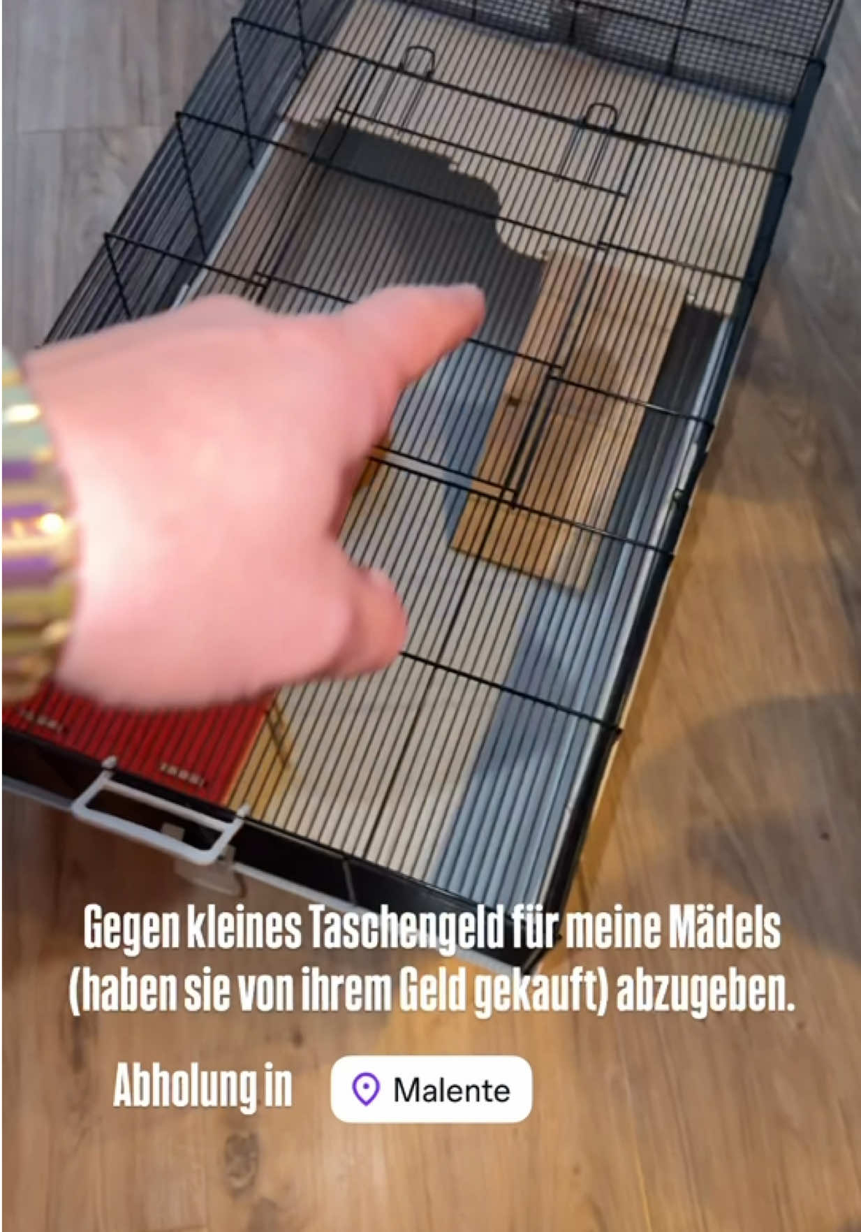 @dertippgeber_official