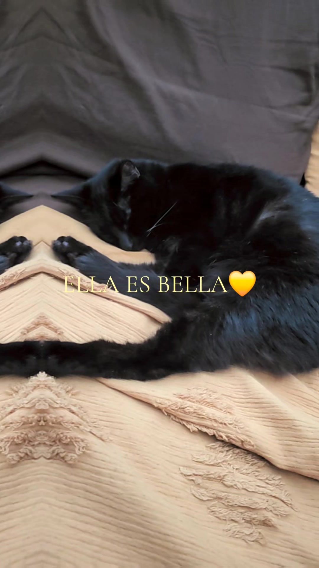 @🇺🇾🧡Vivi🧡🇺🇾