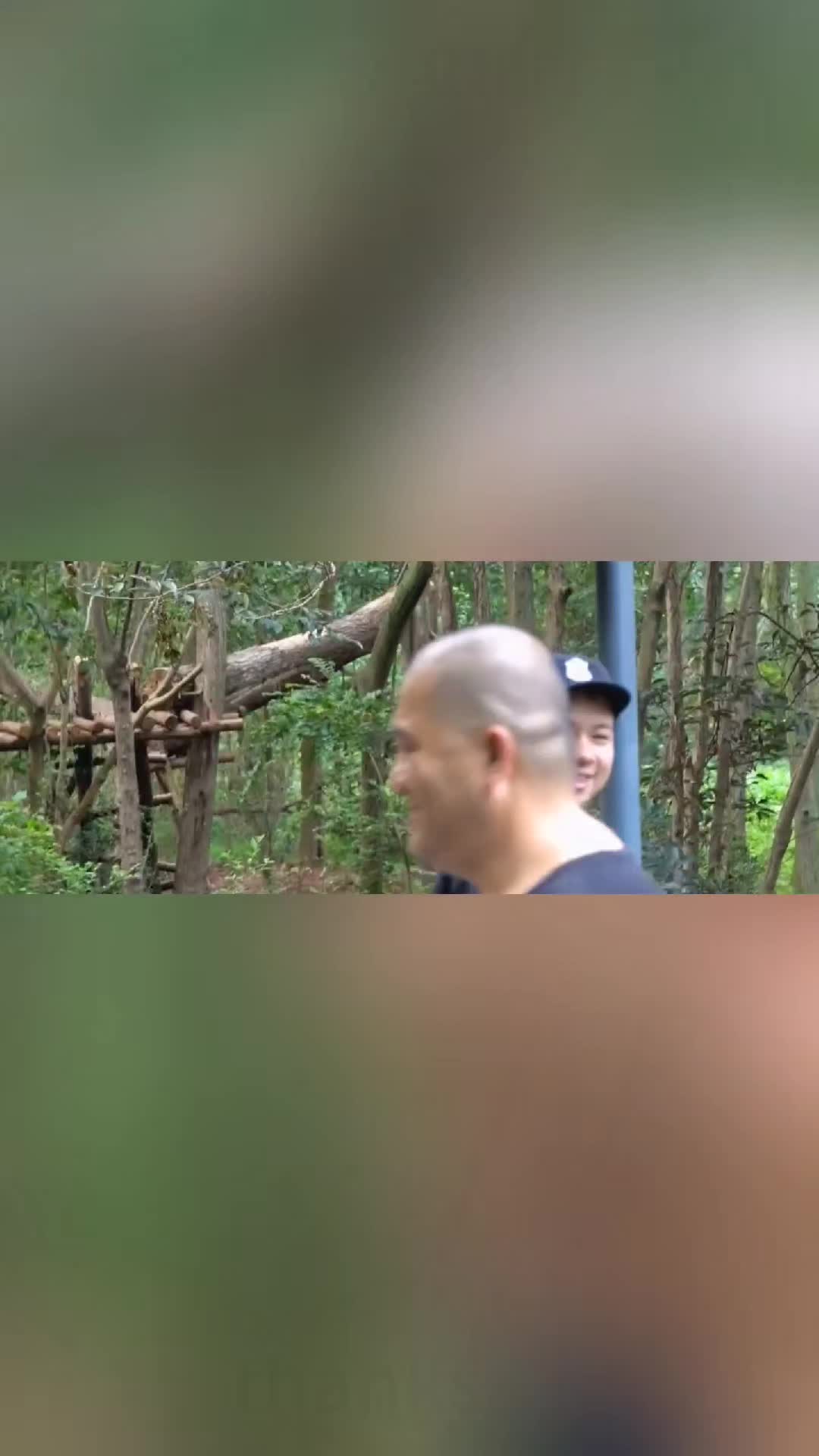 @tionpionr