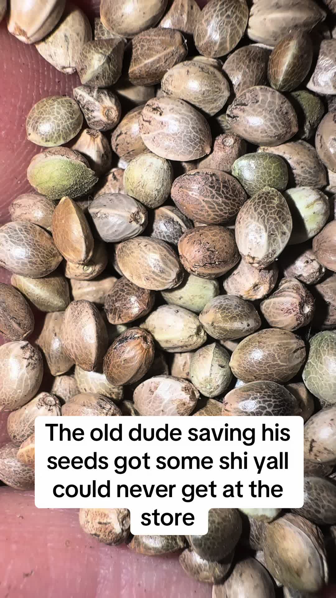 @SEEDTIVA