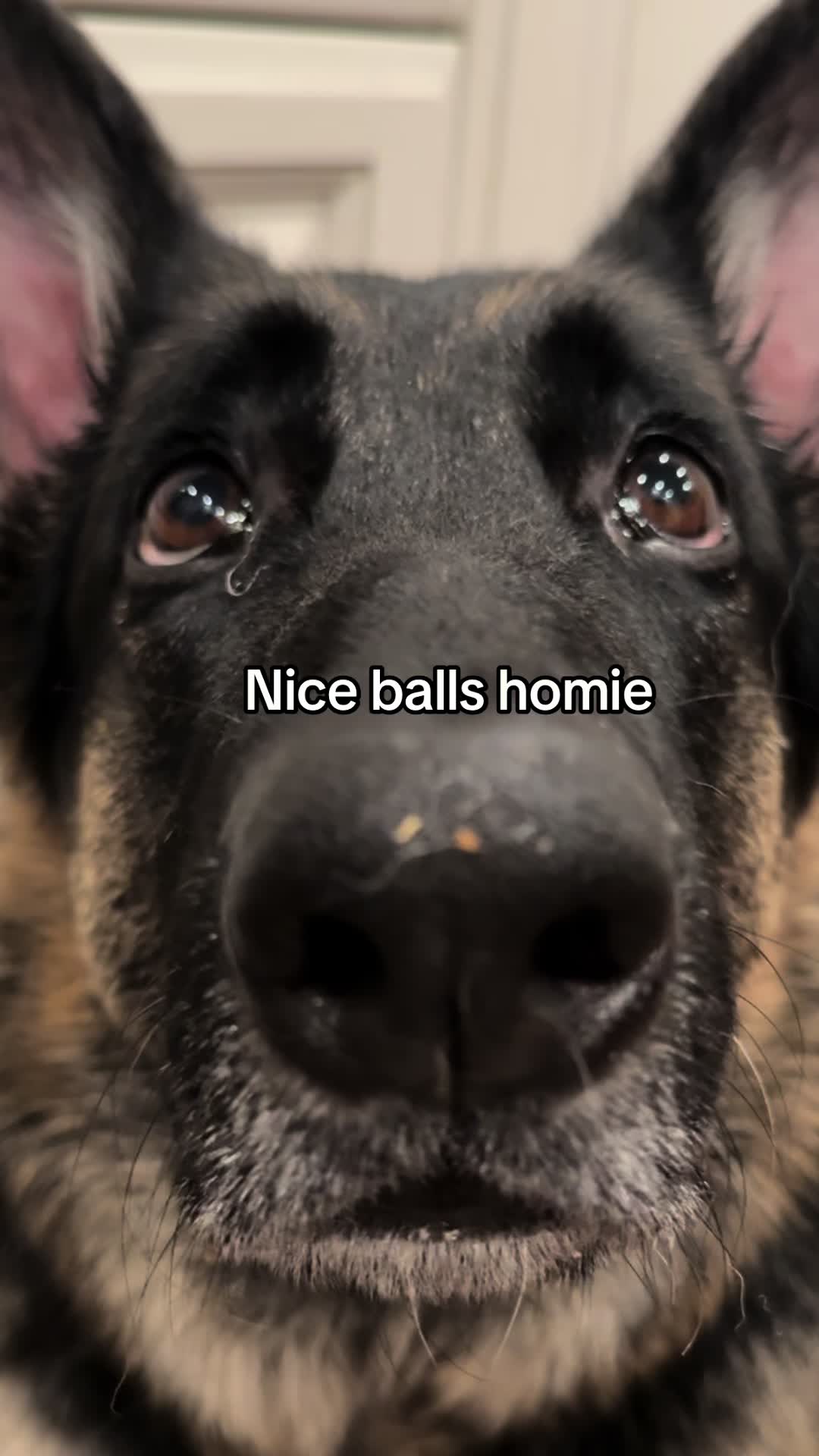 @Bhris