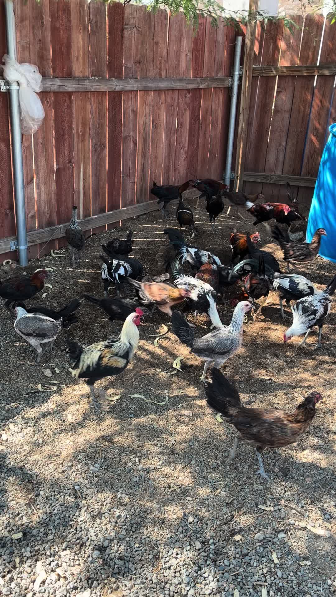 @A.MENDOZA.FARM.USA 74HWY