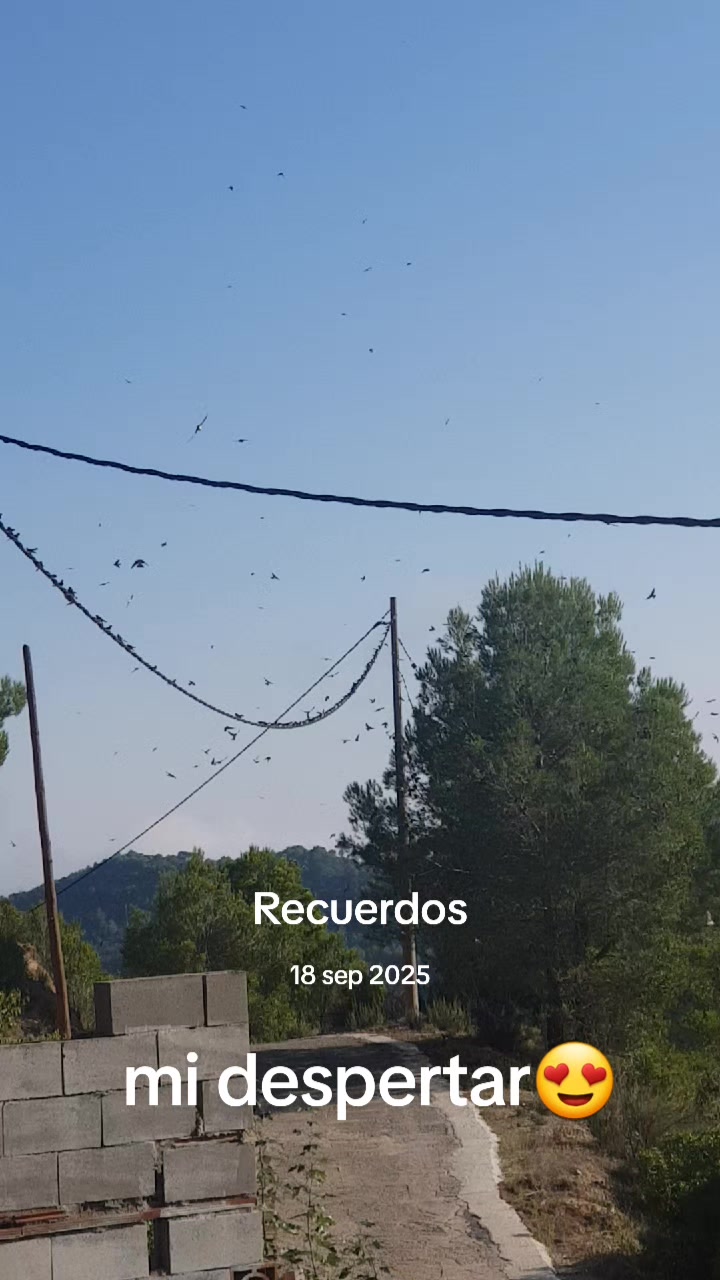 @la bonita