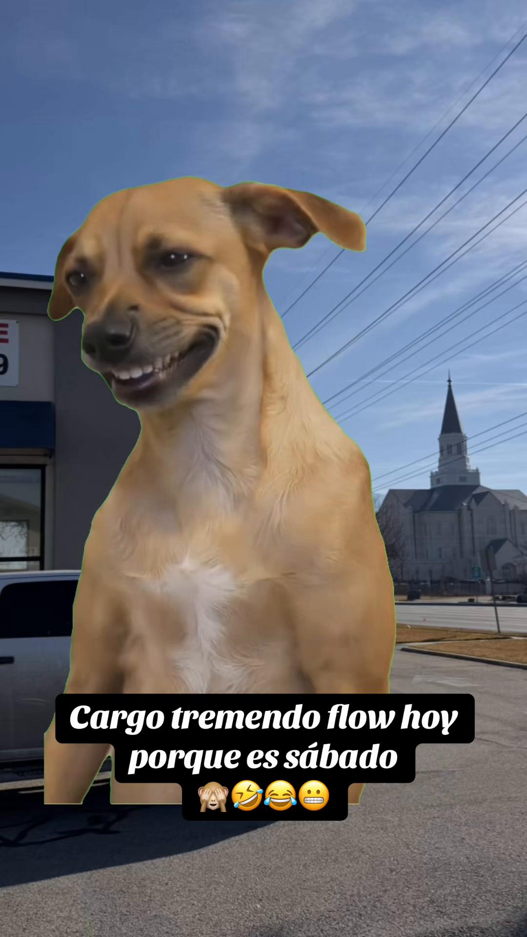 @𝕻𝖗𝖎𝖓𝖈𝖎𝖕𝖊502𝖉𝖊👸