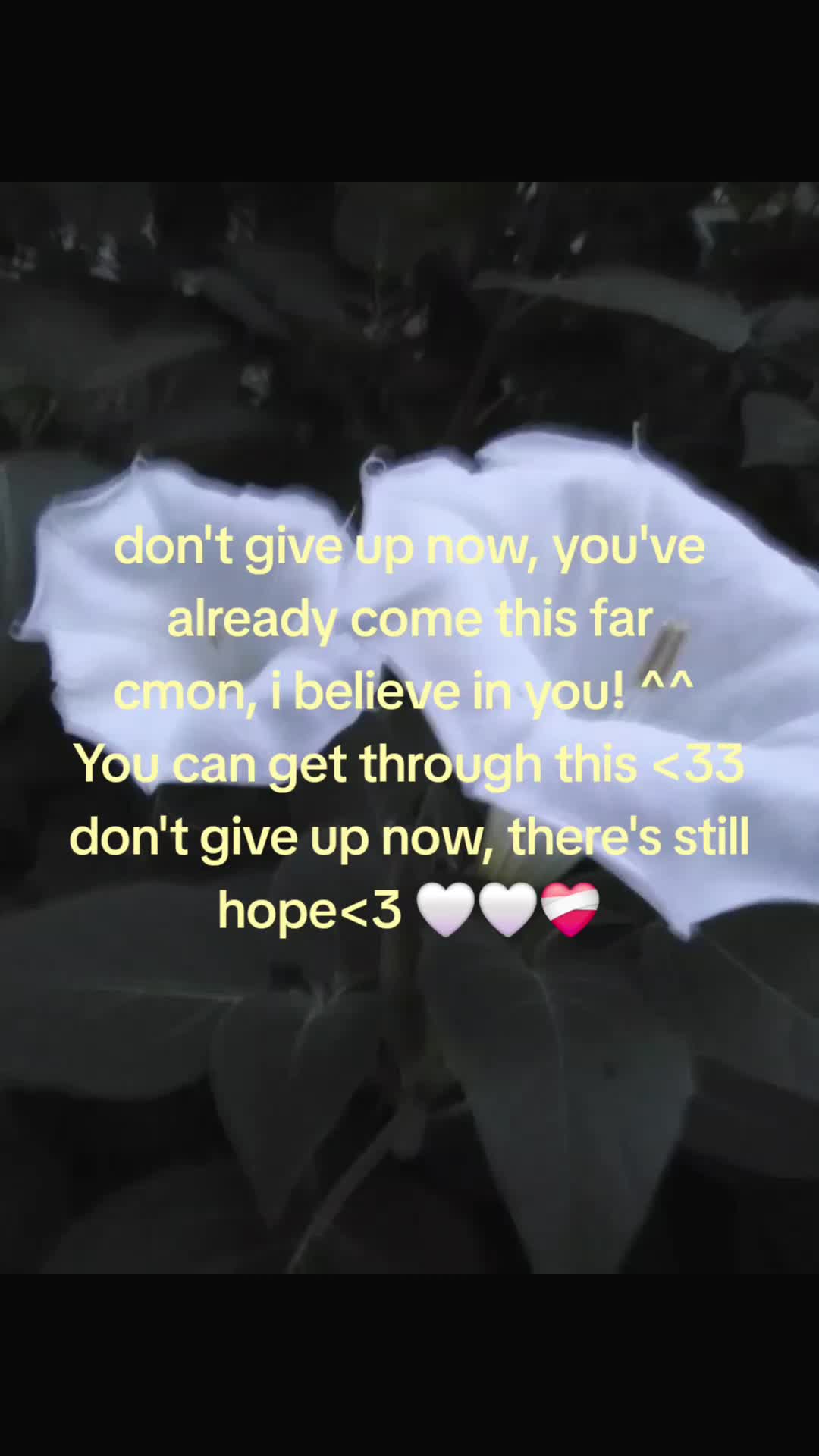 @* ੈ✩‧₊˚*𝐴𝑥𝑒𝑙* ੈ✩‧₊˚*