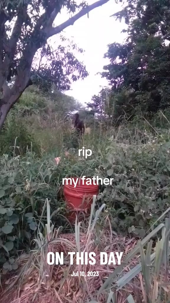 @Nunubrown OC