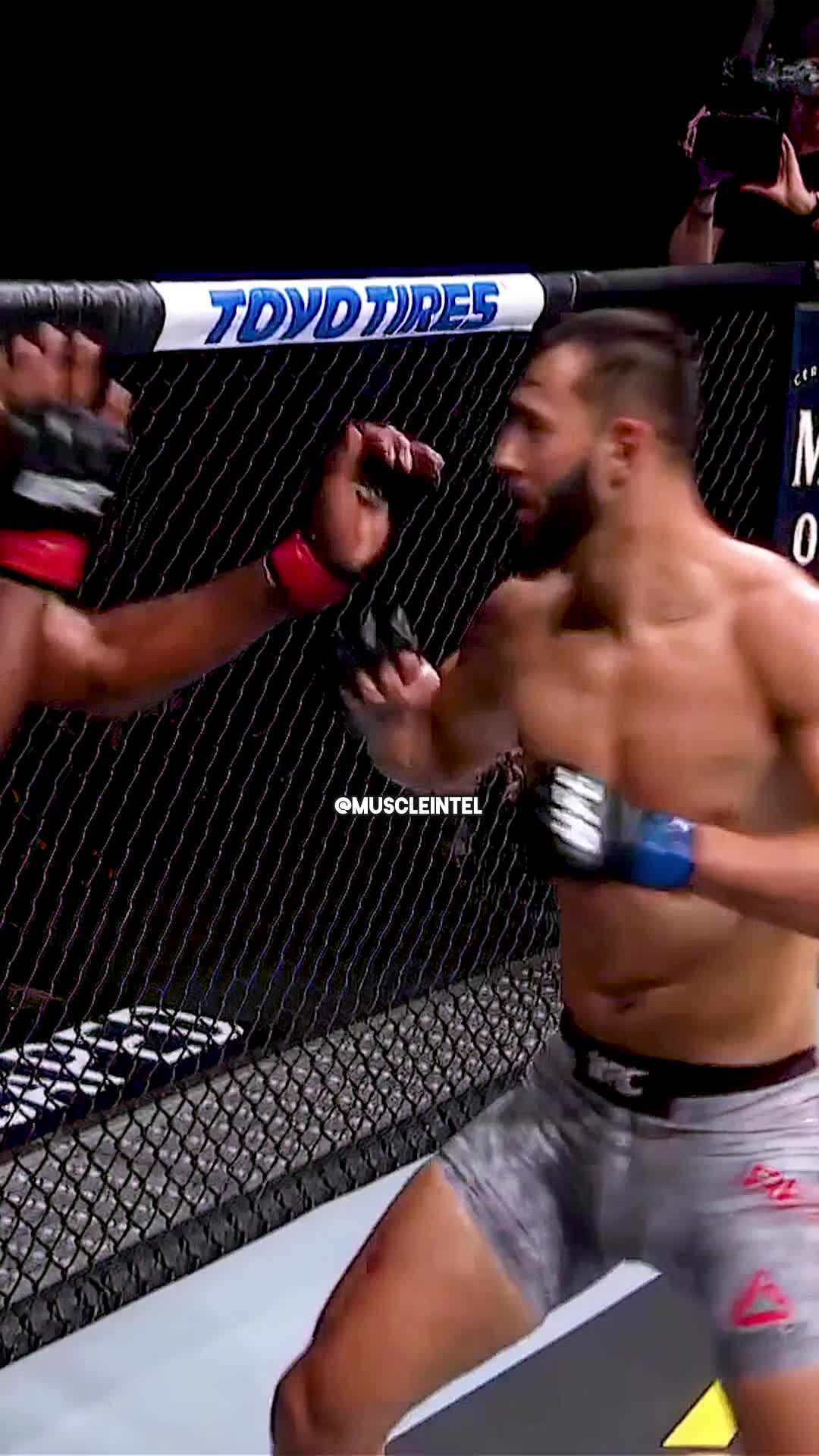 @muscleintel08