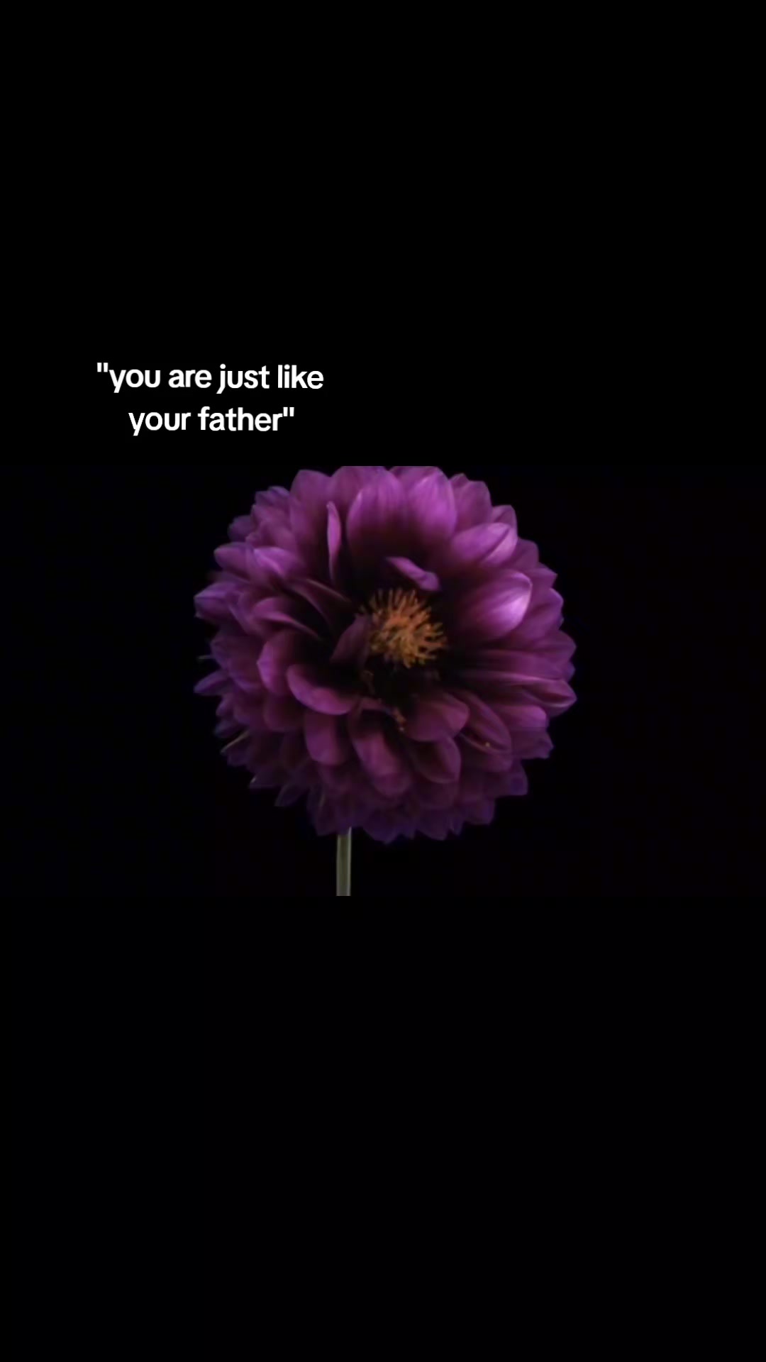 @๐ค