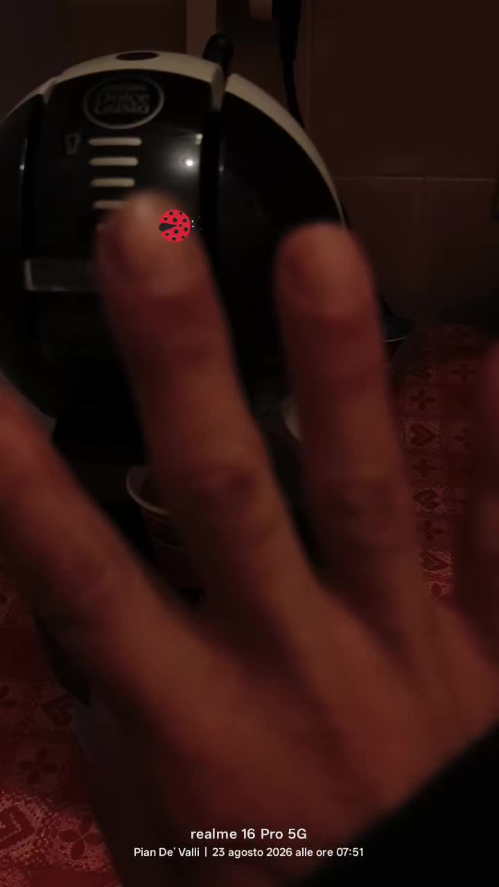 @Pidocrea🐞