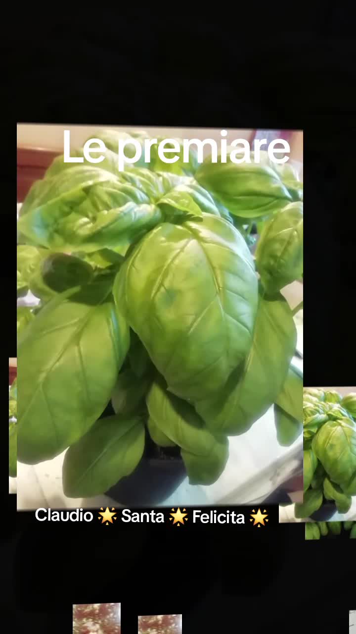 @Claudio Santa Felicita