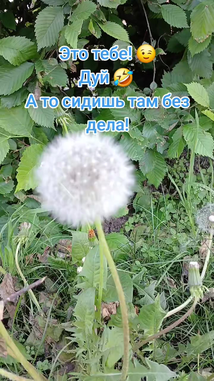 @🦂 МАРИНА 🦂