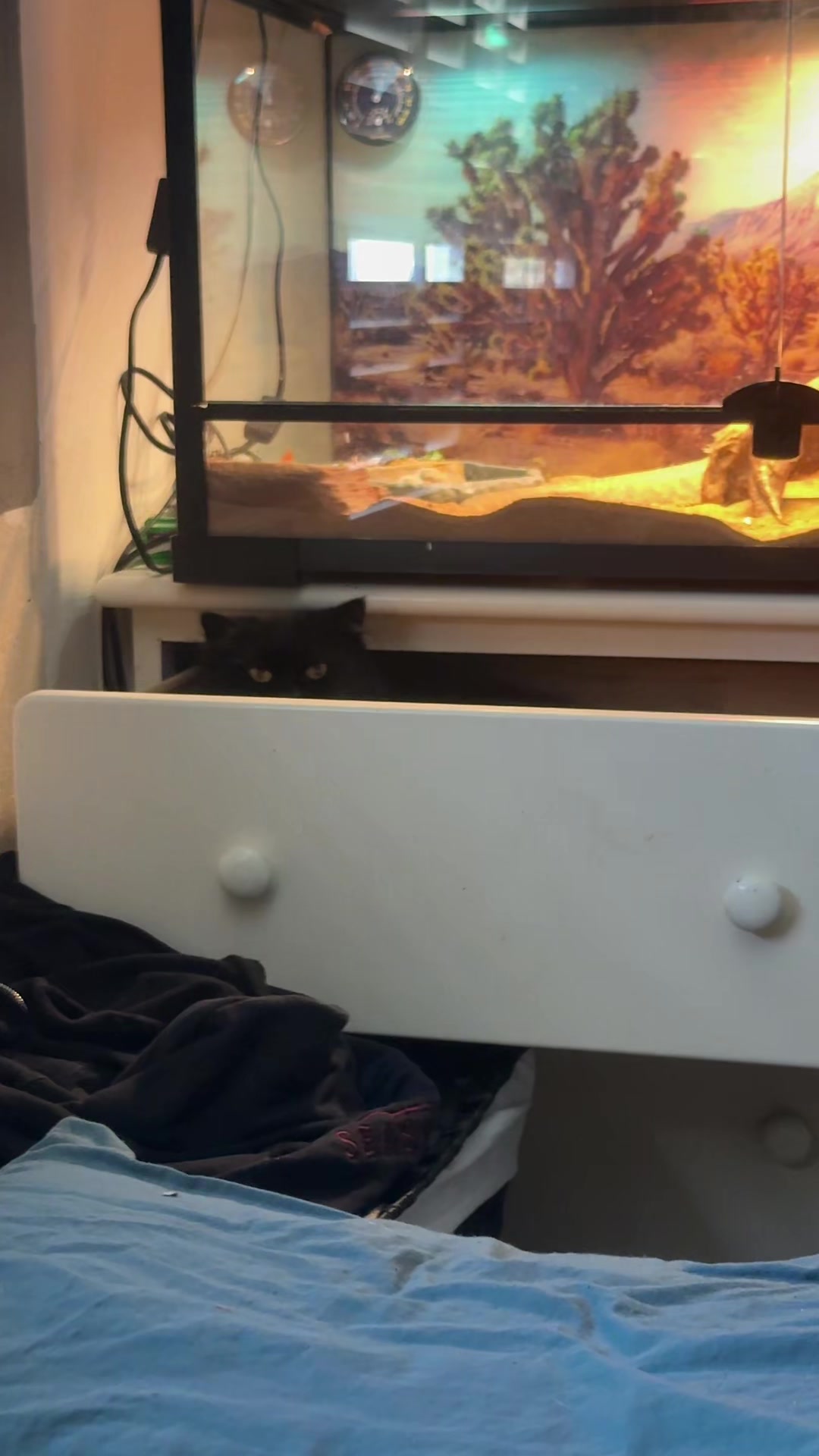 @moneysignsoup