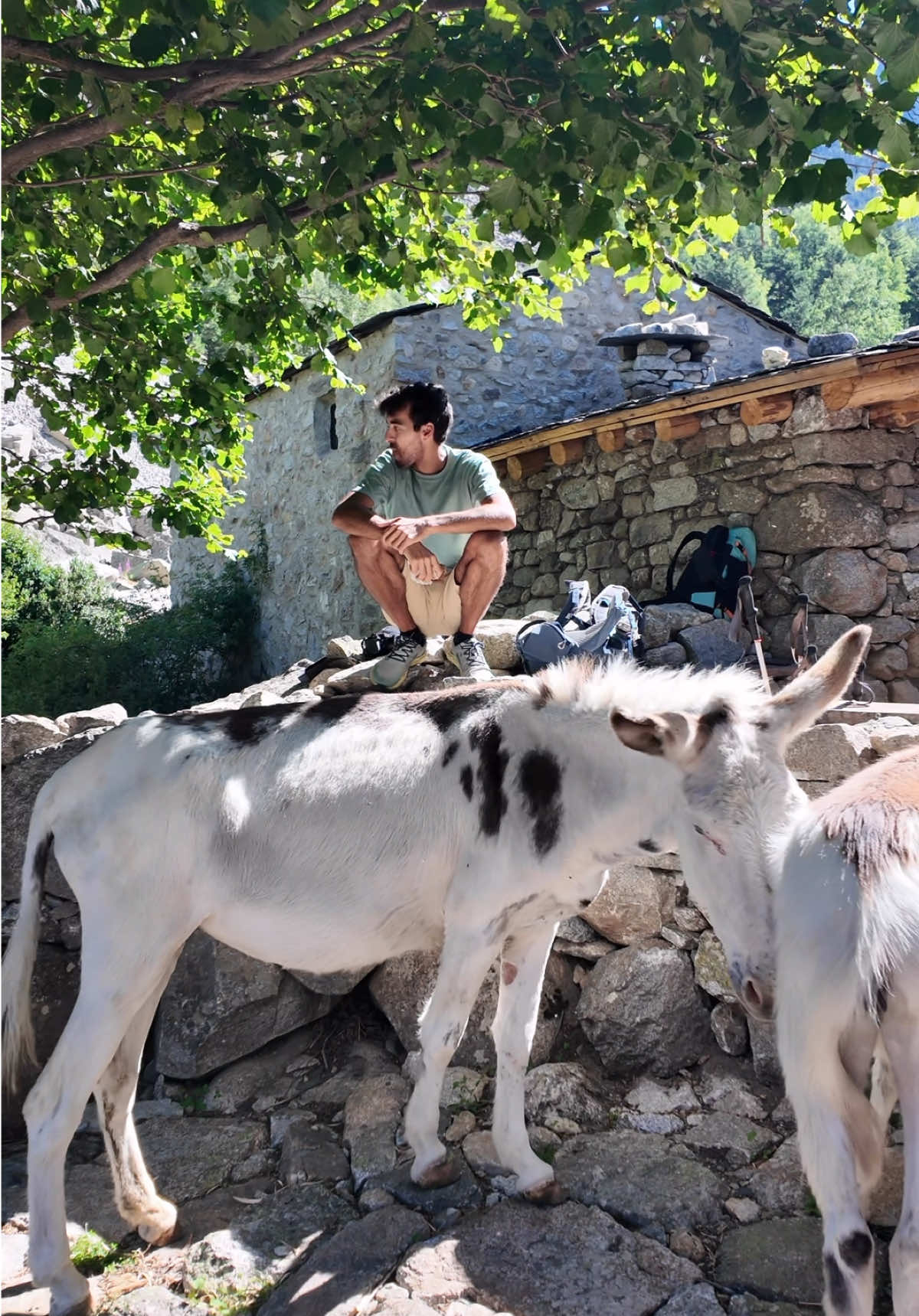 @Thru-hiking community