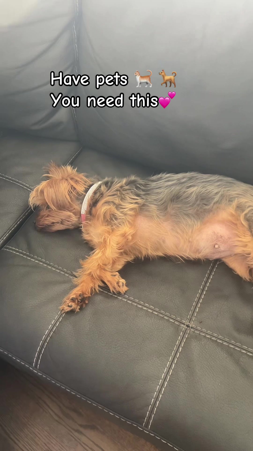 @lifeasportia