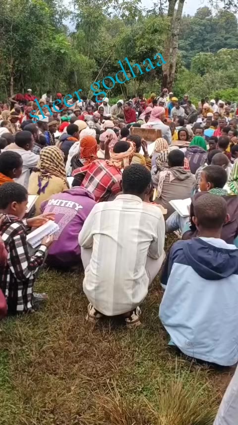 @kaaluu