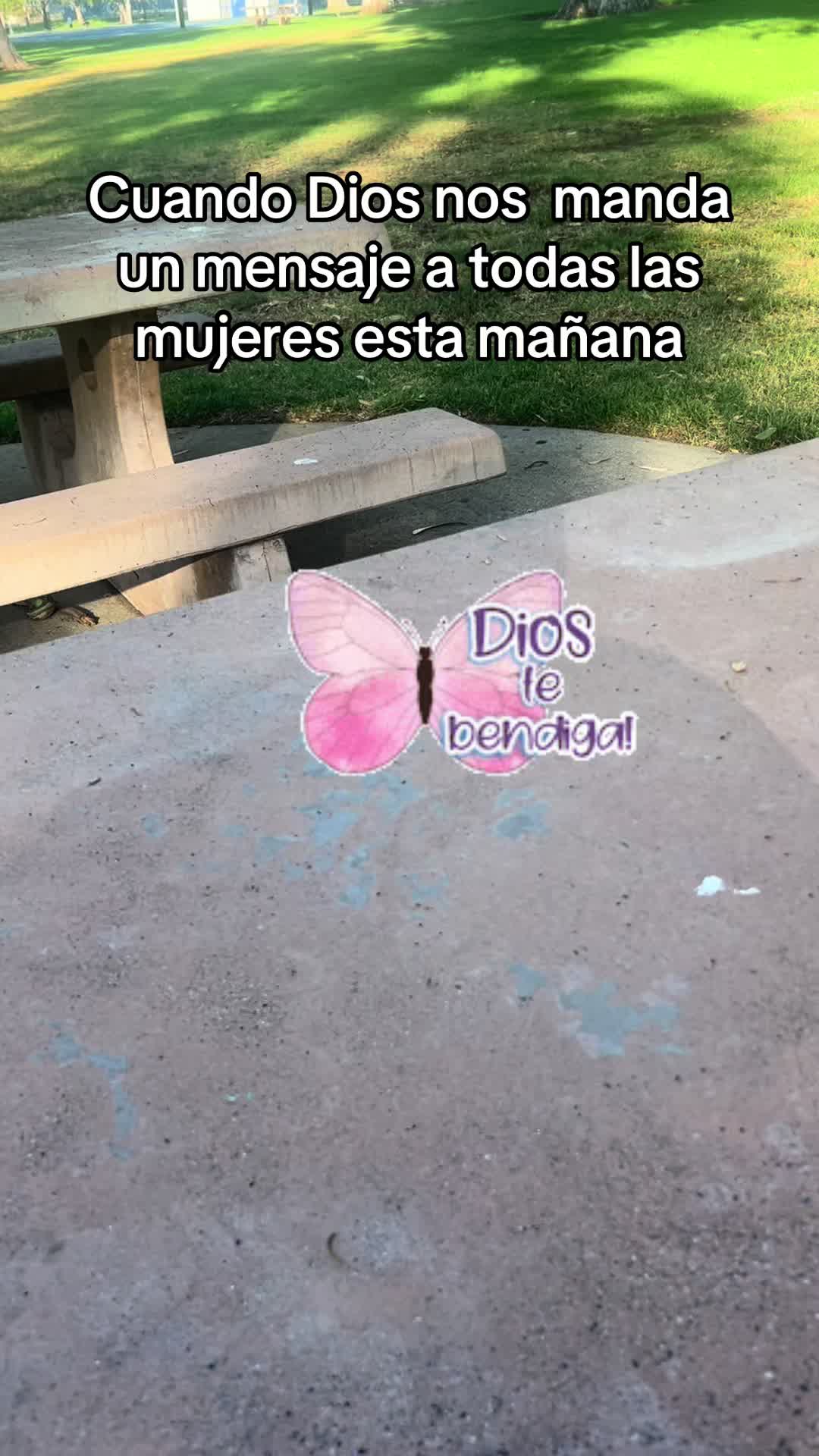 @Cinthya Carrillo