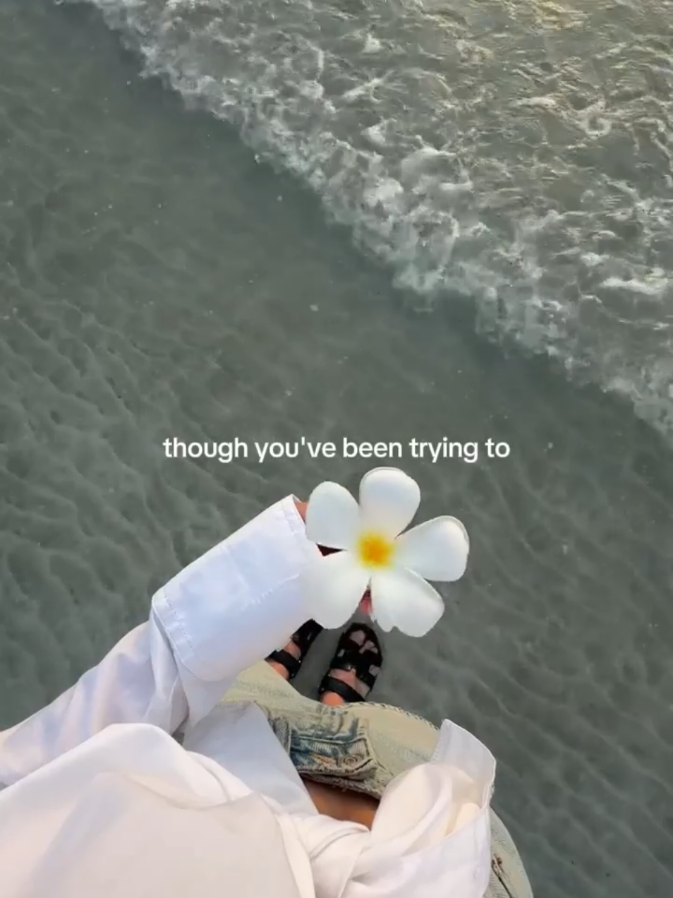 @everglow ✨