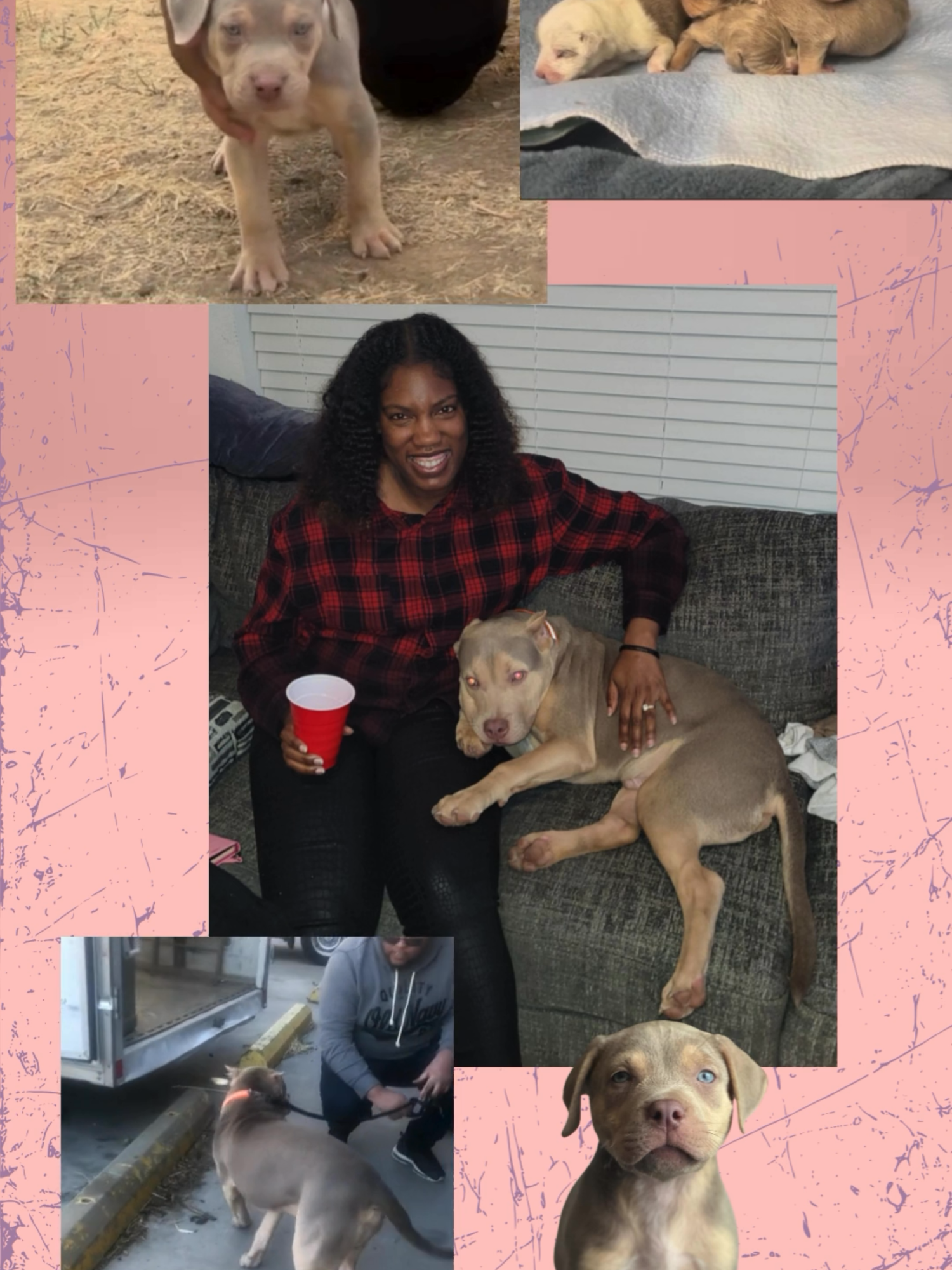@Fort Worth Pit Puppies