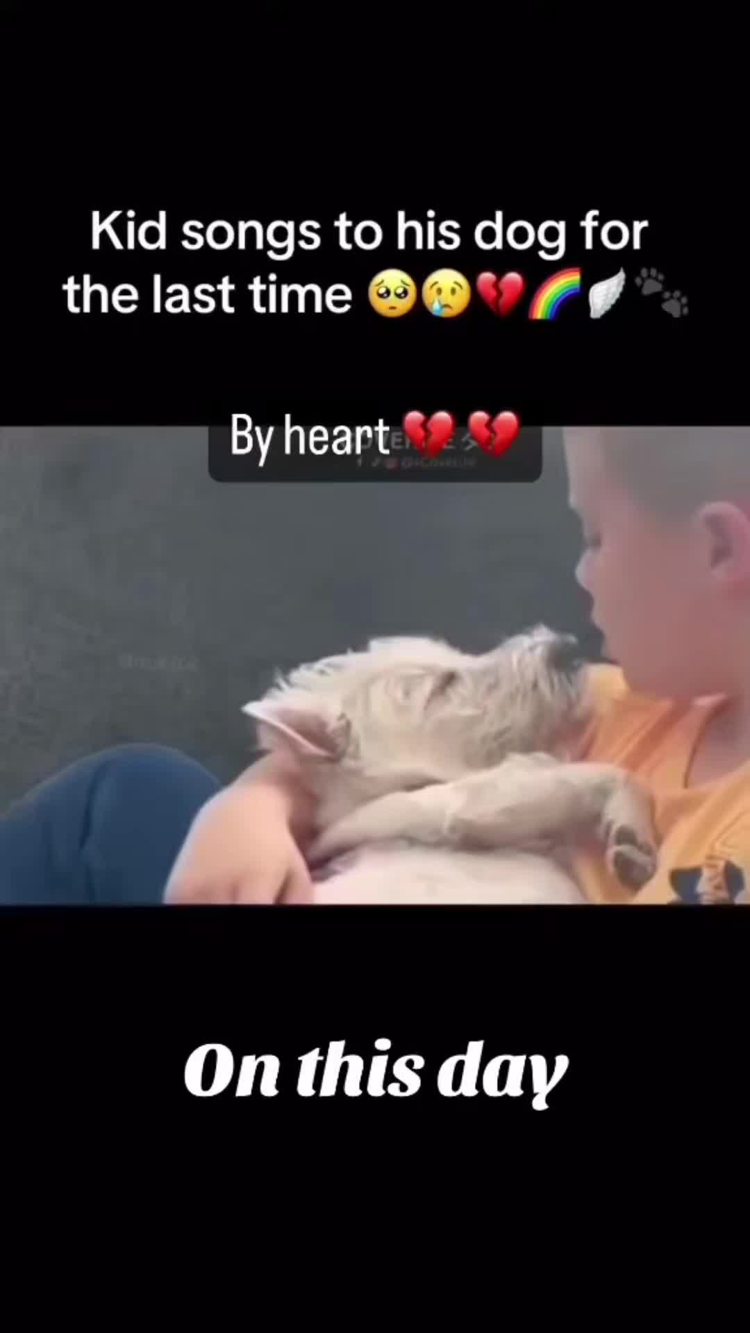 @justrod