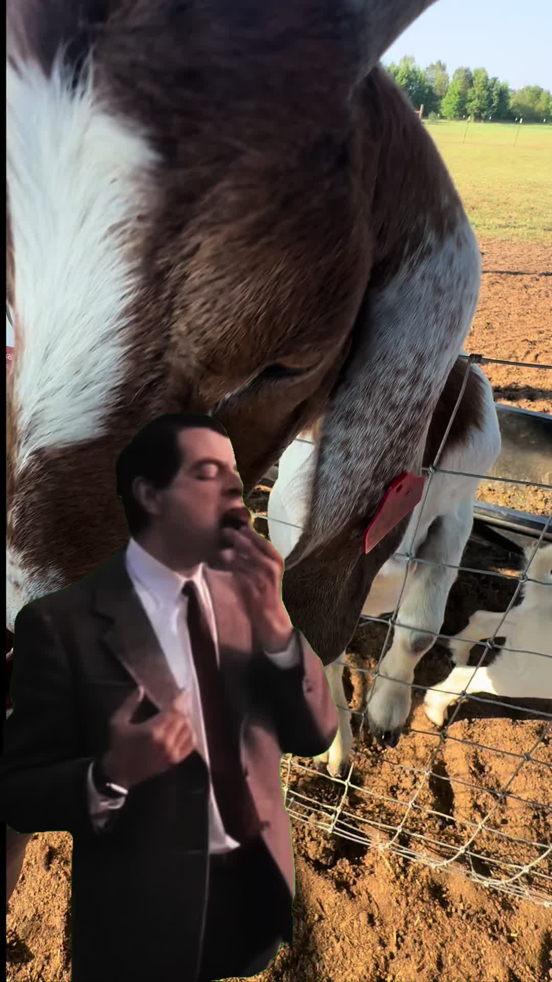@Superman007