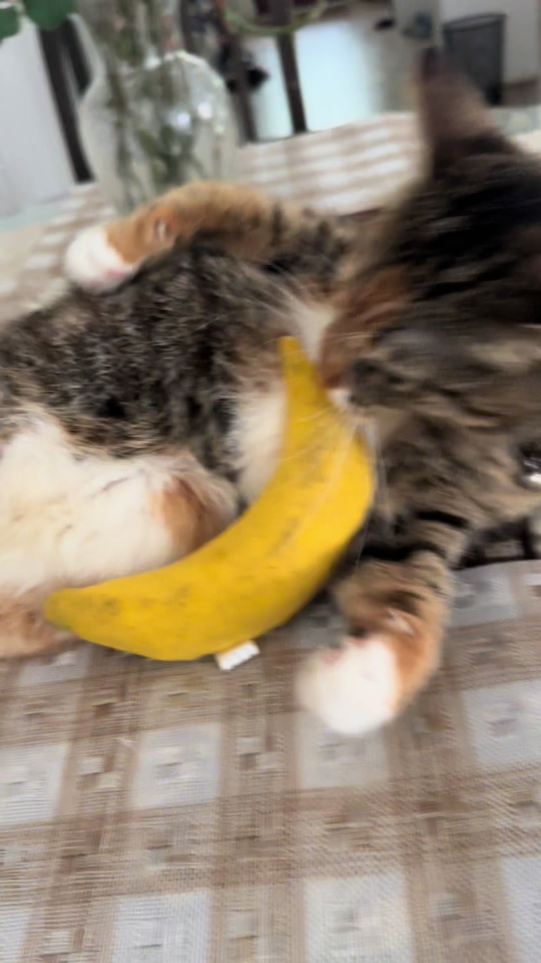 @Bella