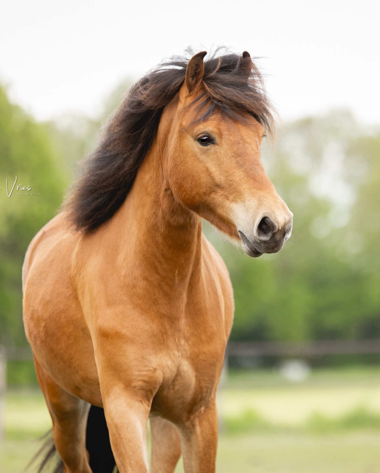 @Sterre Schepers