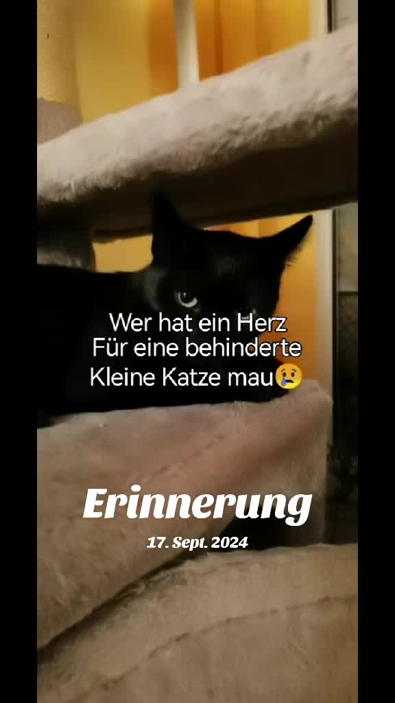 @juli🇩🇪🇺🇸🇷🇺