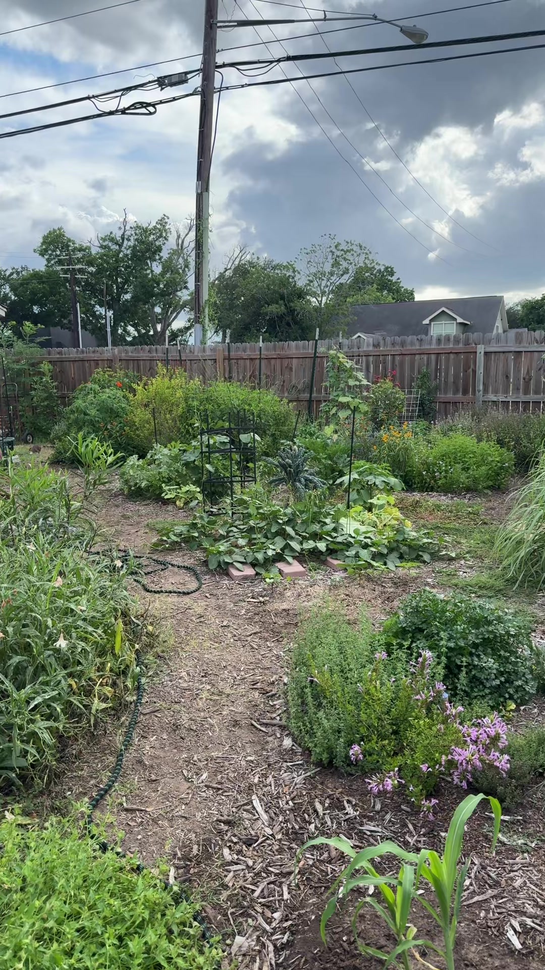 @themagicvalleygardener