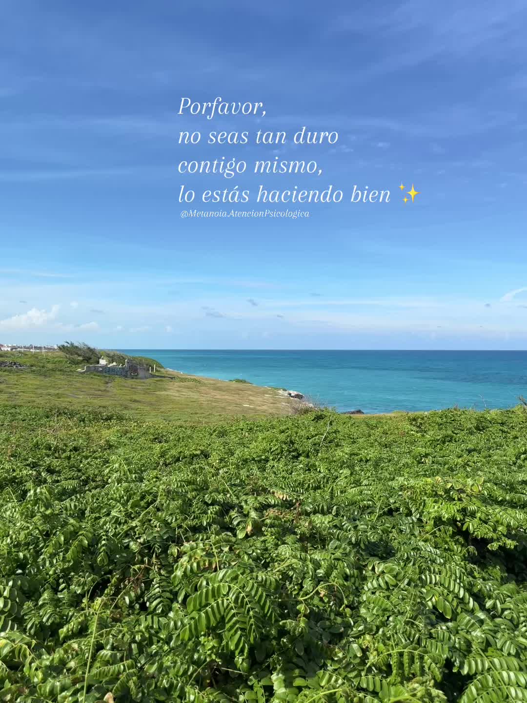 @Metanoia