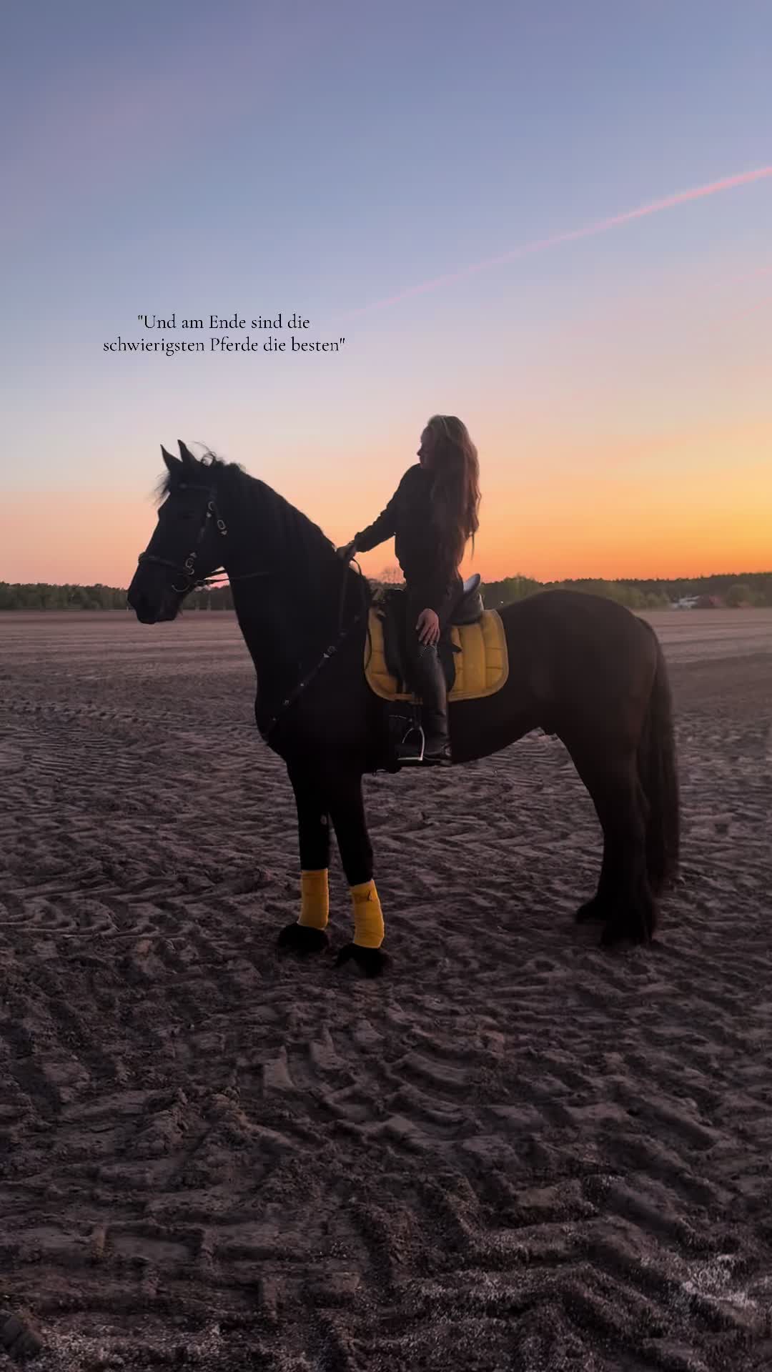 @Horses