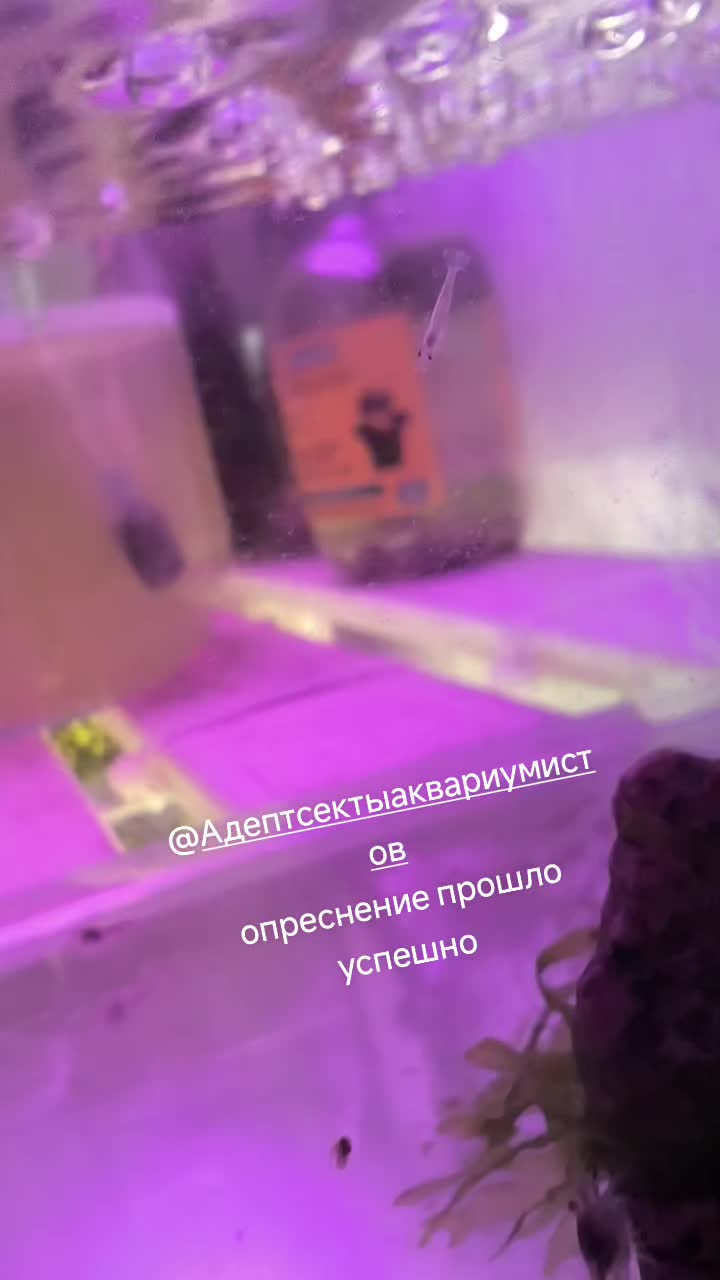 @Женя Садовая