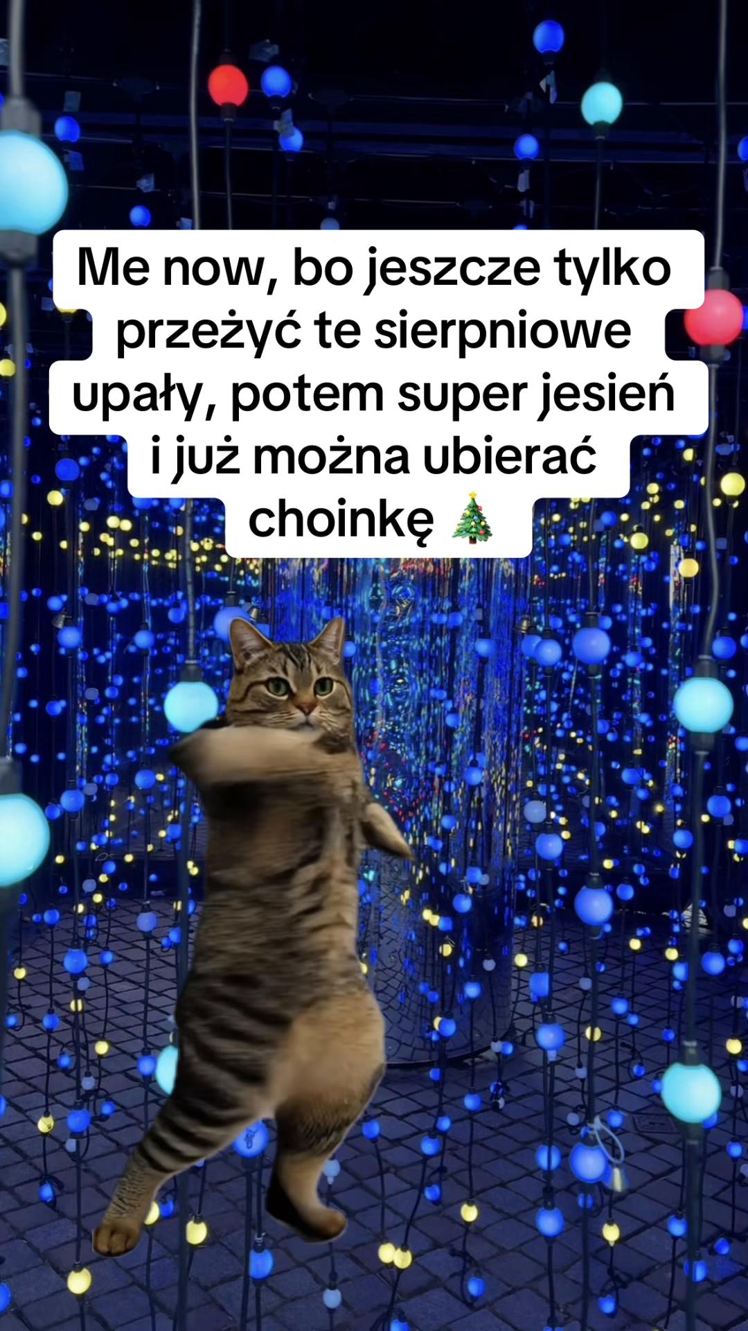 @hejmoniu