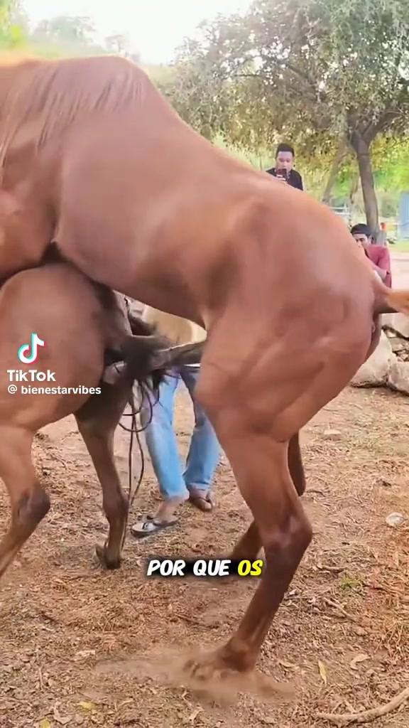 @user56202062159