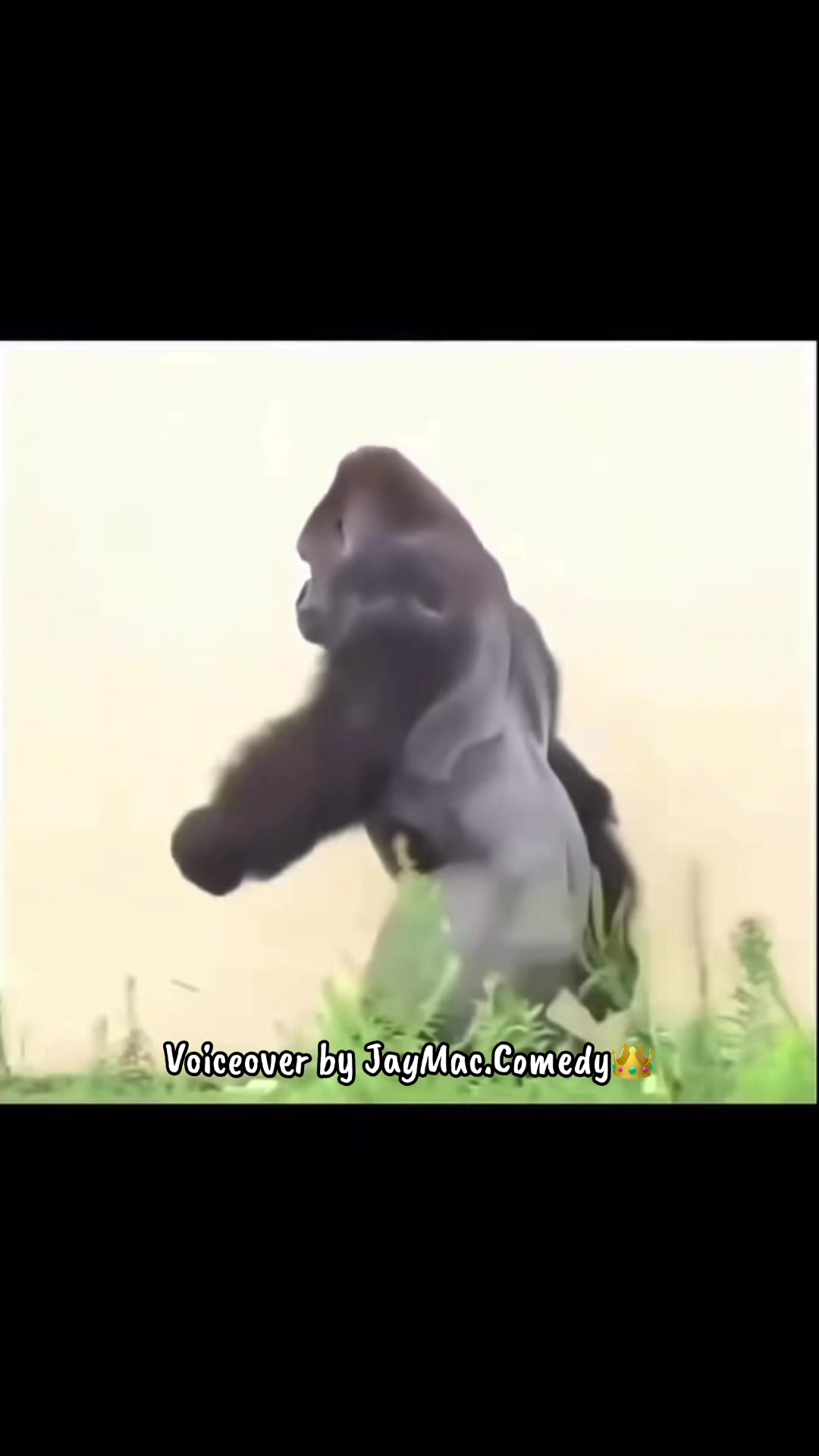 @JayMacComedy