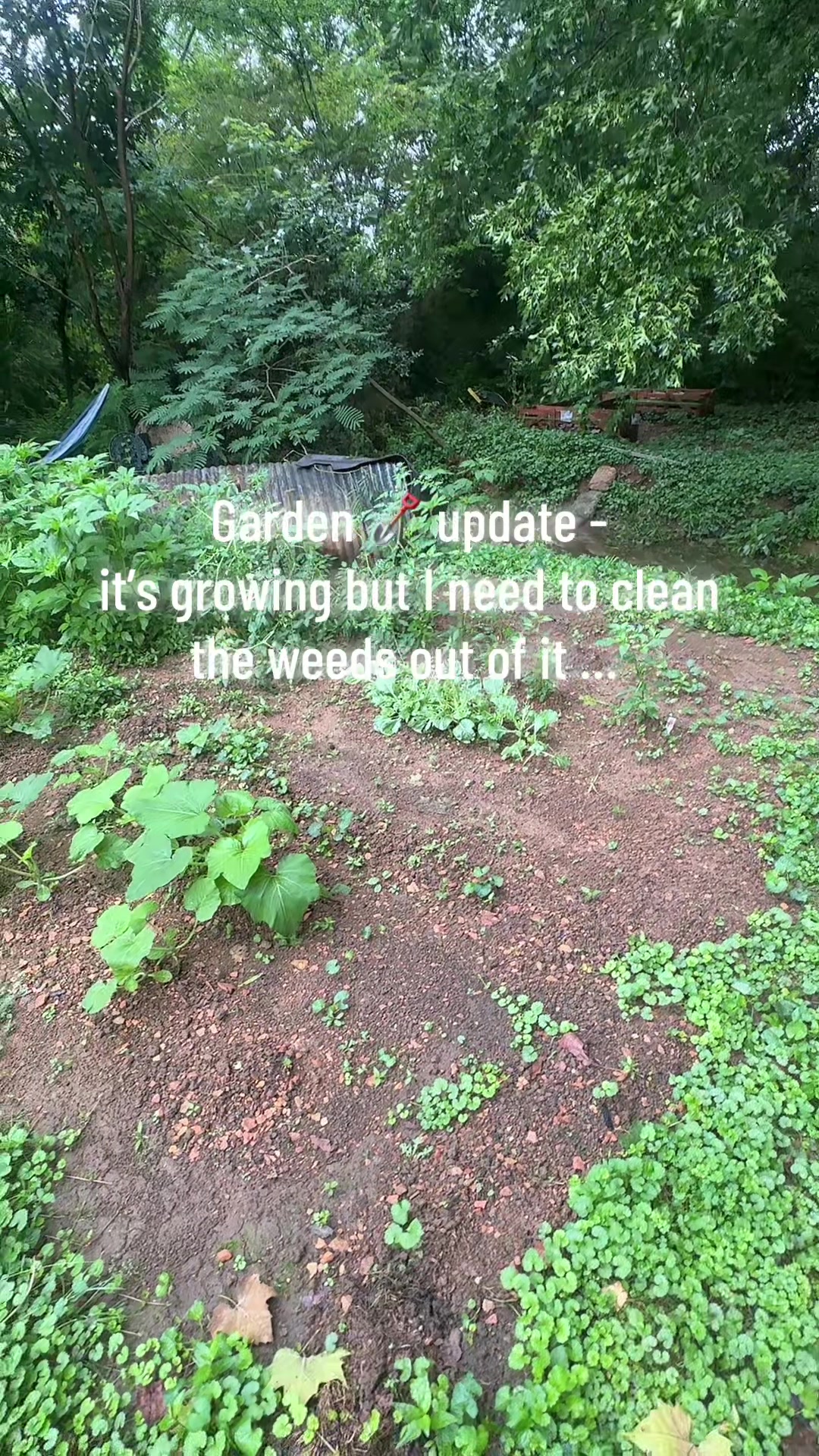 @Sarah Morgan