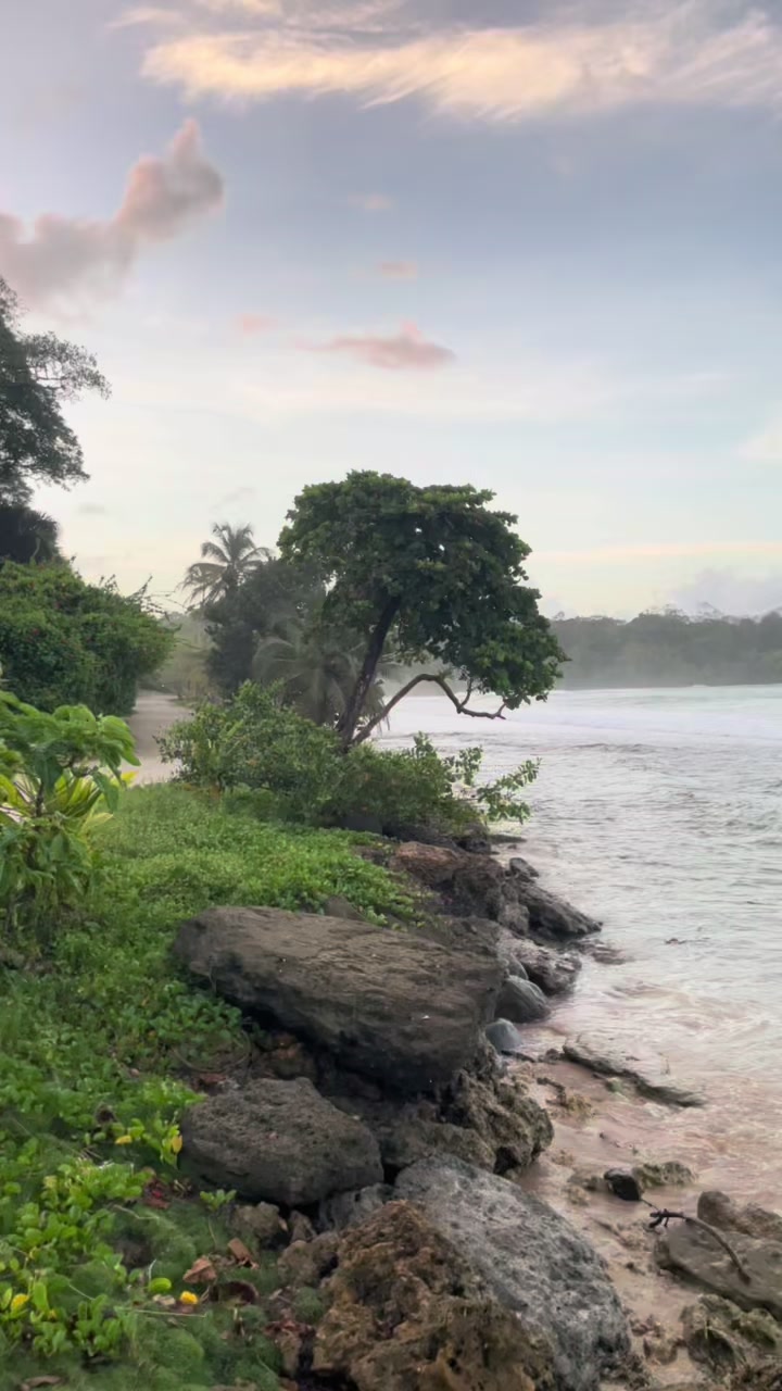 @Made in Panamá 🇵🇦