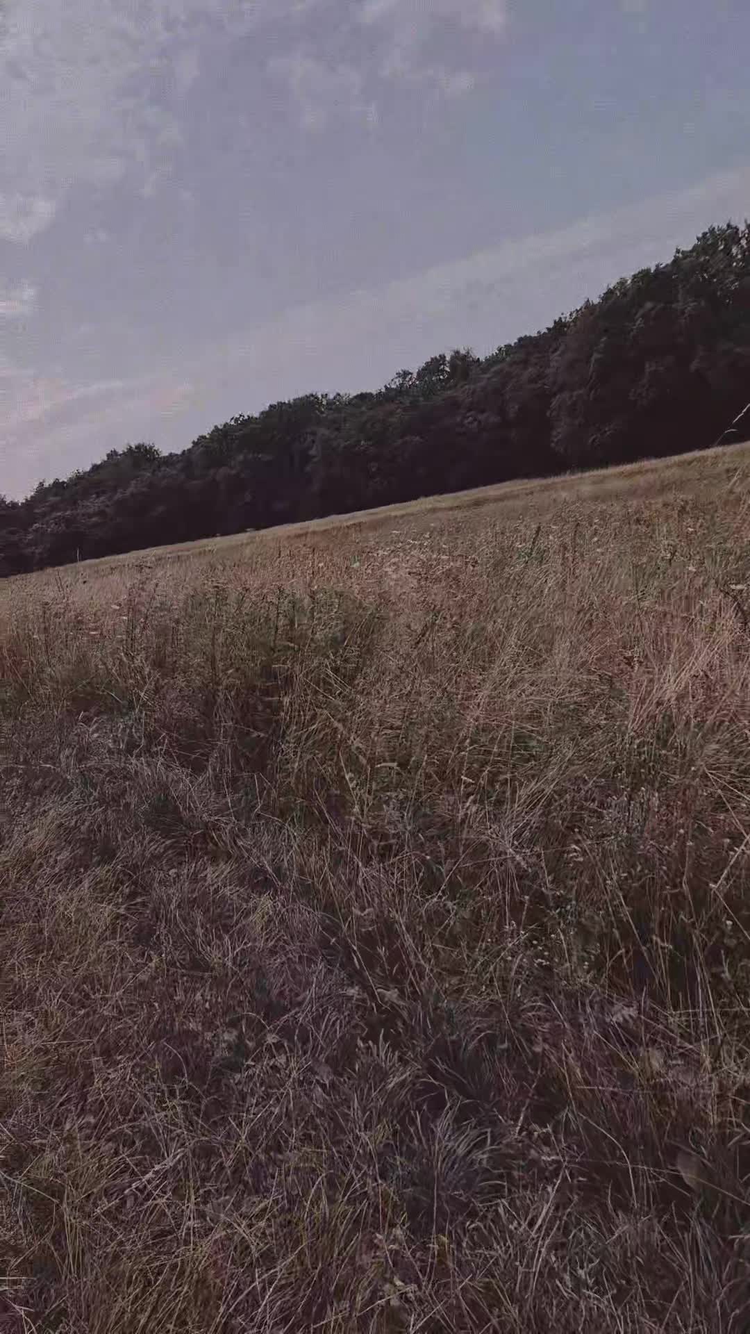 @Sarah_Priscilla_🌈🏳️🌈
