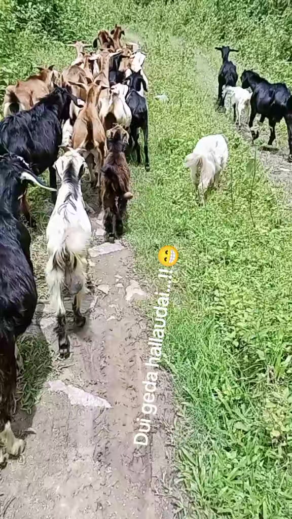 @rk. Xettri.3k