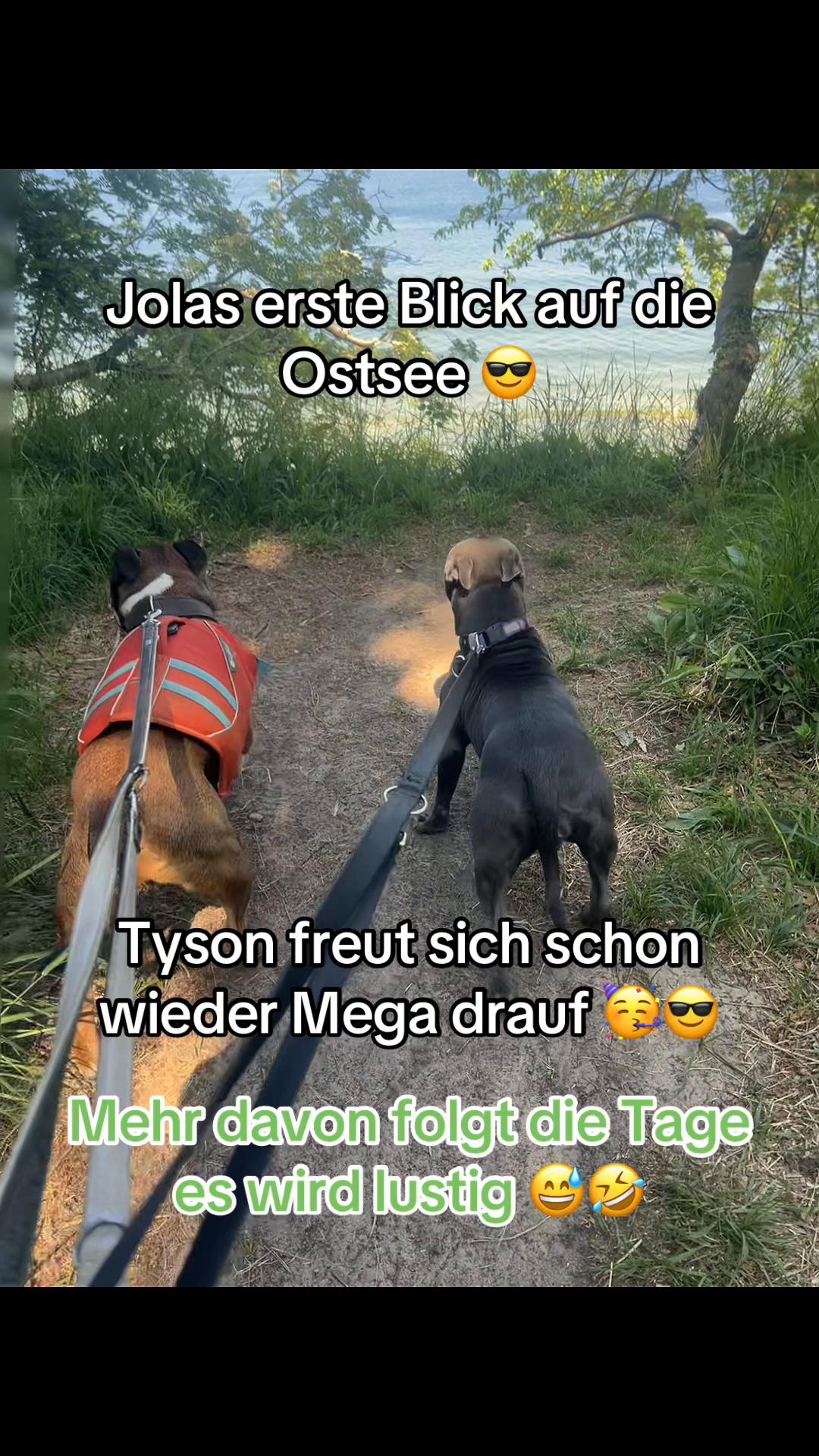 @Chris ❤️Tyson&Jola😍😎